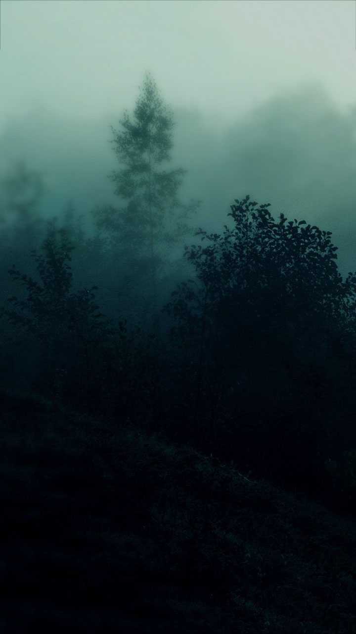 720x1280 Dark Naturalism Wallpaper Free HD Wallpaper