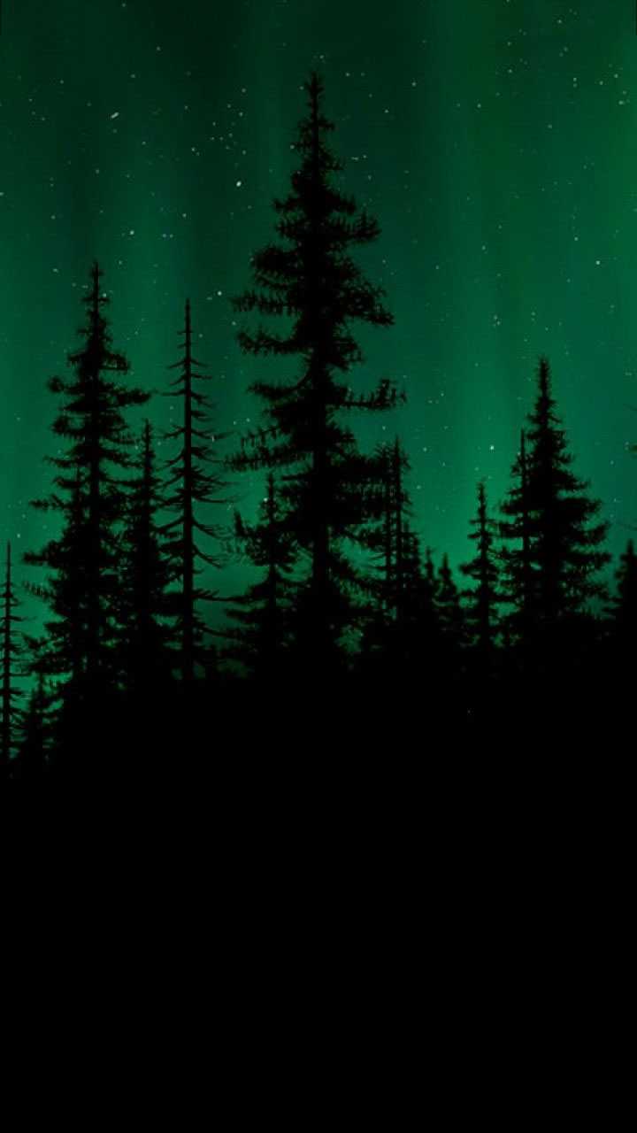 720x1280 Dark Naturalism Wallpaper Free HD Wallpaper