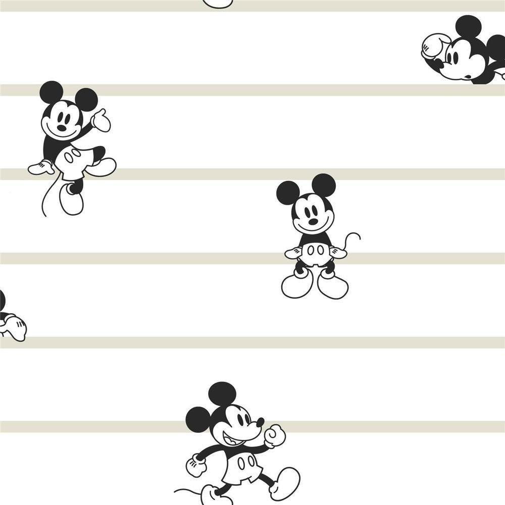 White Mickey Mouse Wallpapers - Top Free White Mickey Mouse Backgrounds