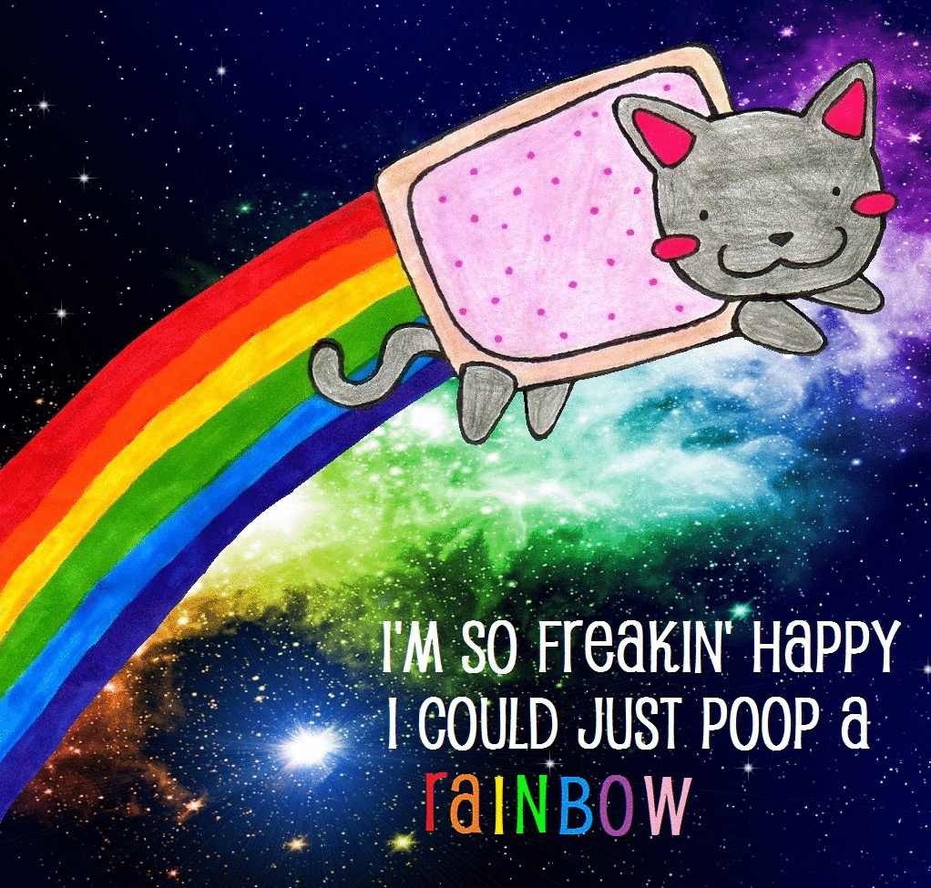 1022x975 Nyan Cat Wallpaper Cat Photo