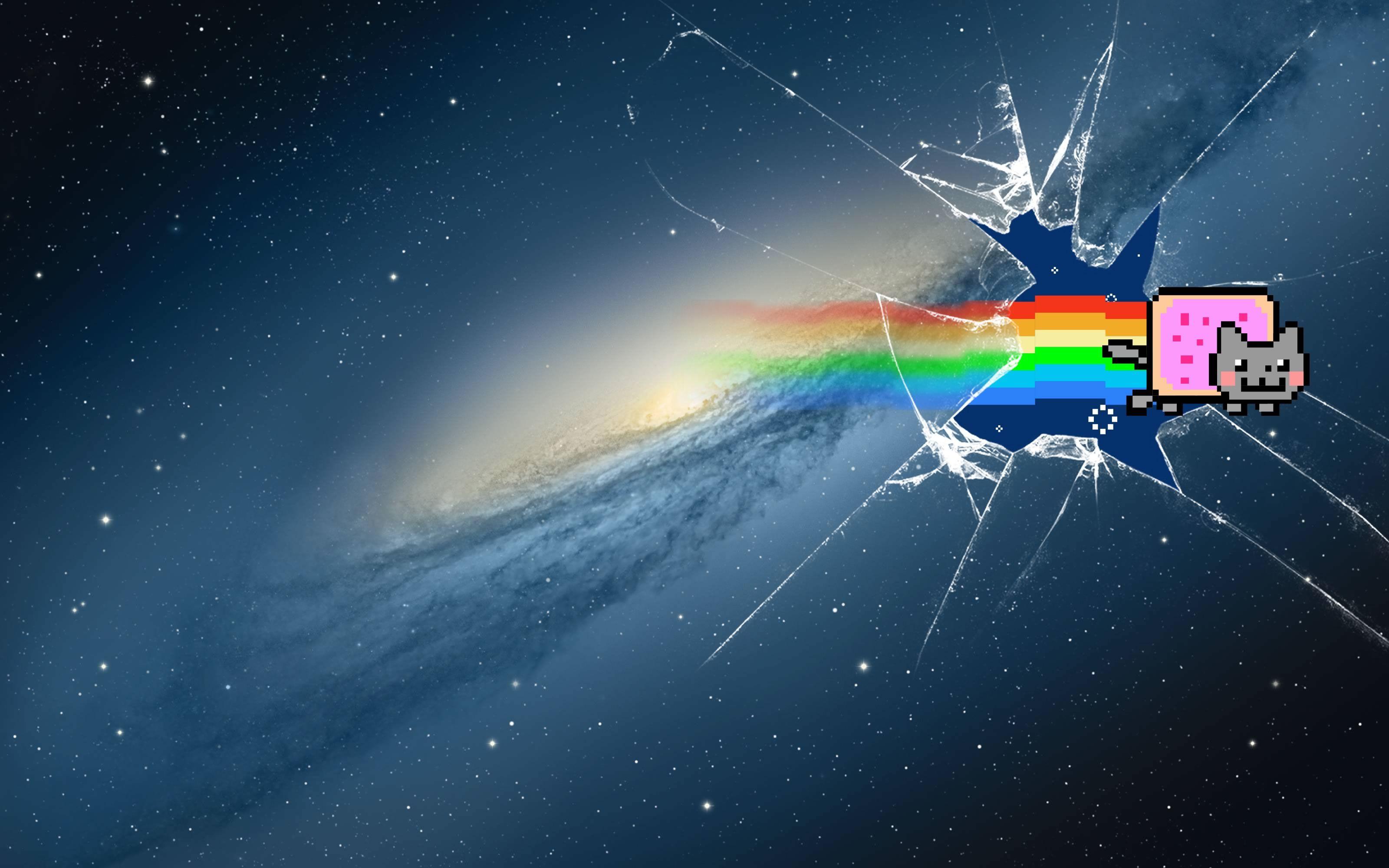 3200x2000 1600x900px Nyan Cat. Nyan cat, Cat photo, Cat wallpaper