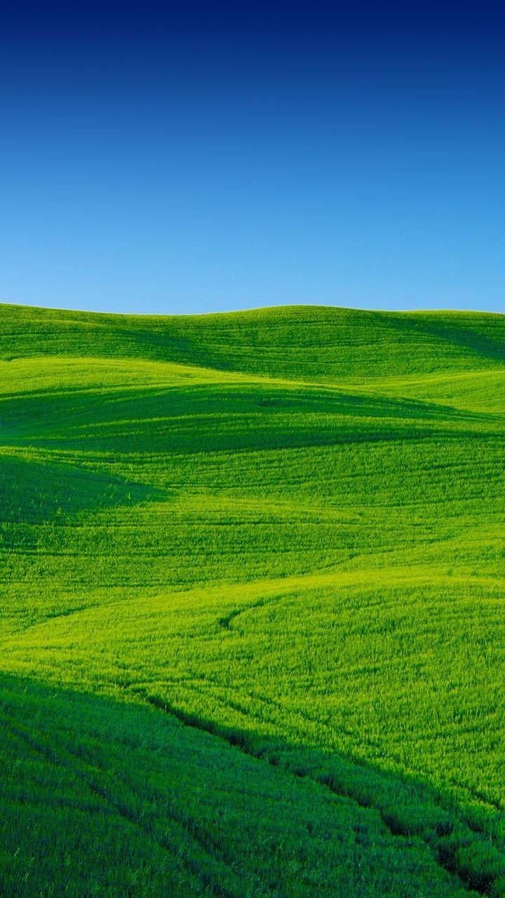720x1280 Download Green Field wallpaper by P3TR1T now. Browse millions of popula. Field wallpaper, Beautiful landscape wallpaper, Landscape wallpaper