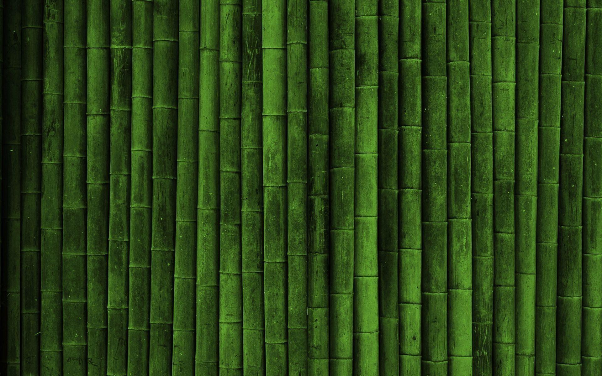 1920x1200 Bamboo backgroundDownload free awesome full HD wallpaper