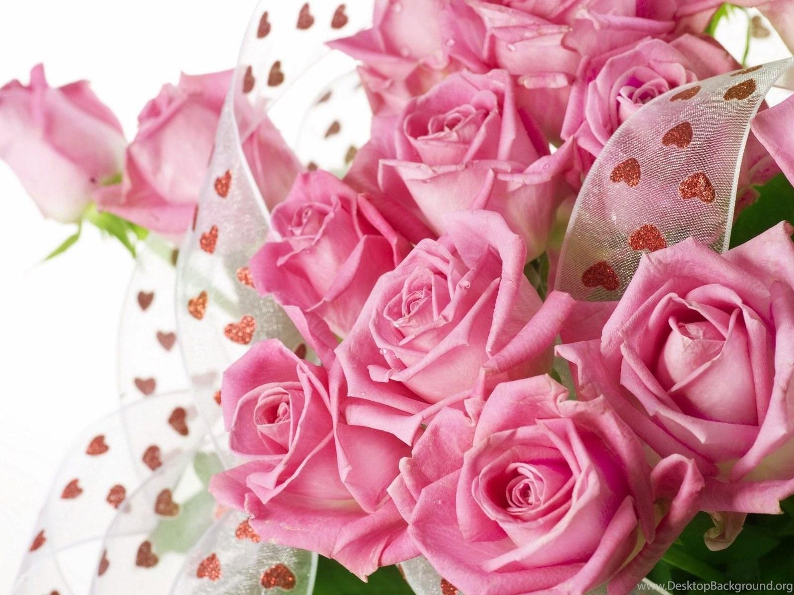 1600x1200 Beautiful Pink Roses Wallpaper Wallpaper HD Base Desktop Background