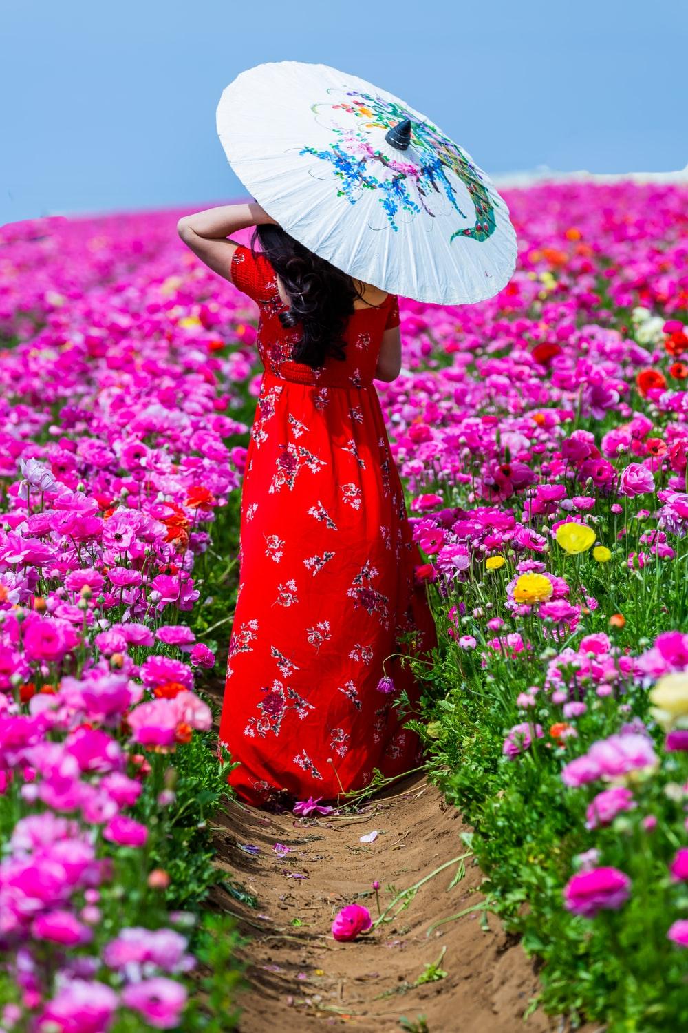 1000x1500 Pink Flower Image. Download Free Picture