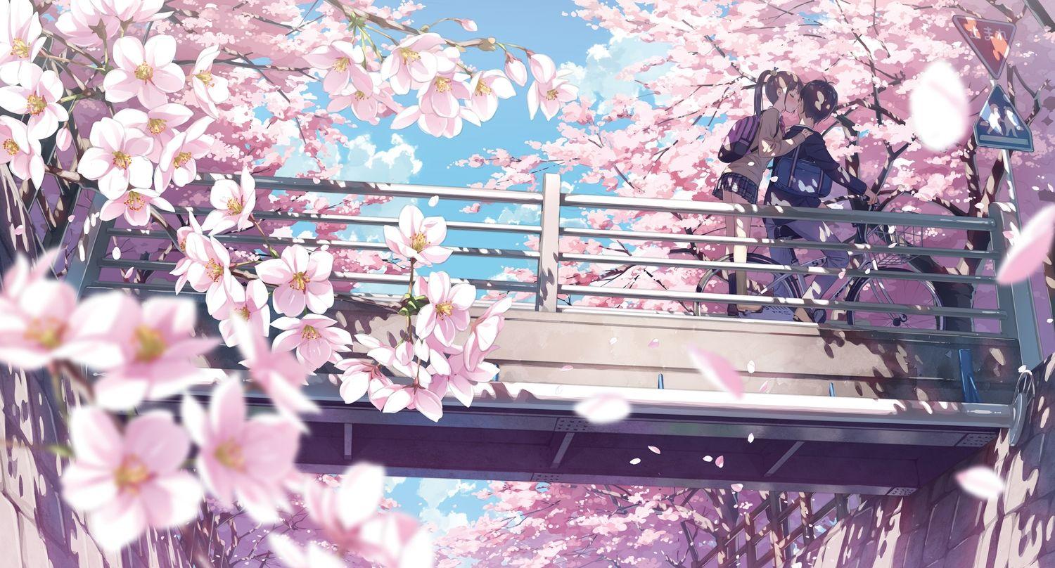 1500x808 Anime Wallpaper 4436x2389 5 nenme no houkago, bicycle, brown hair, cherry blossoms, clouds, flowe. Anime cherry blossom, Cherry blossom wallpaper, Anime wallpaper