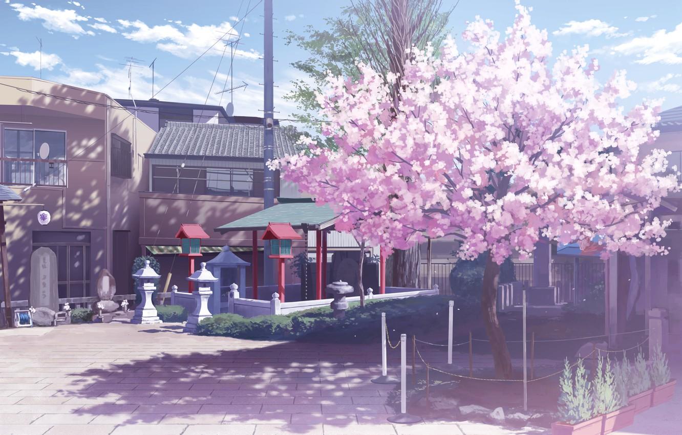 1332x850 Wallpaper clouds, street, home, shadow, Sakura, lights, Japan, flowering image for desktop, section прочее