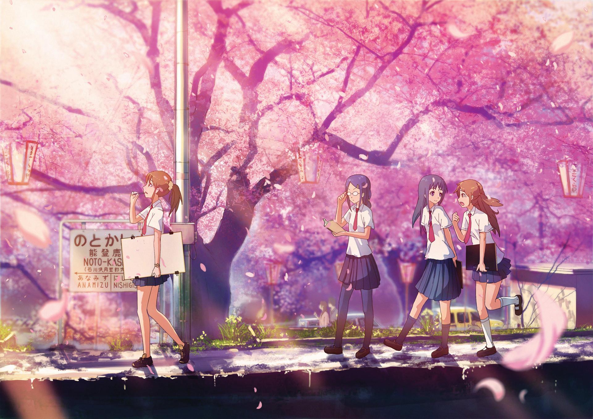 1920x1357 Sakura Anime Japan Wallpaper Top Wallpaper