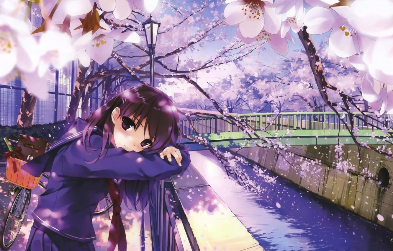 1332x850 Wallpaper bridge, bike, river, spring, fence, petals, Japan, Sakura, lantern, schoolgirl, flowering, art, Misaki Kurehito image for desktop, section прочее