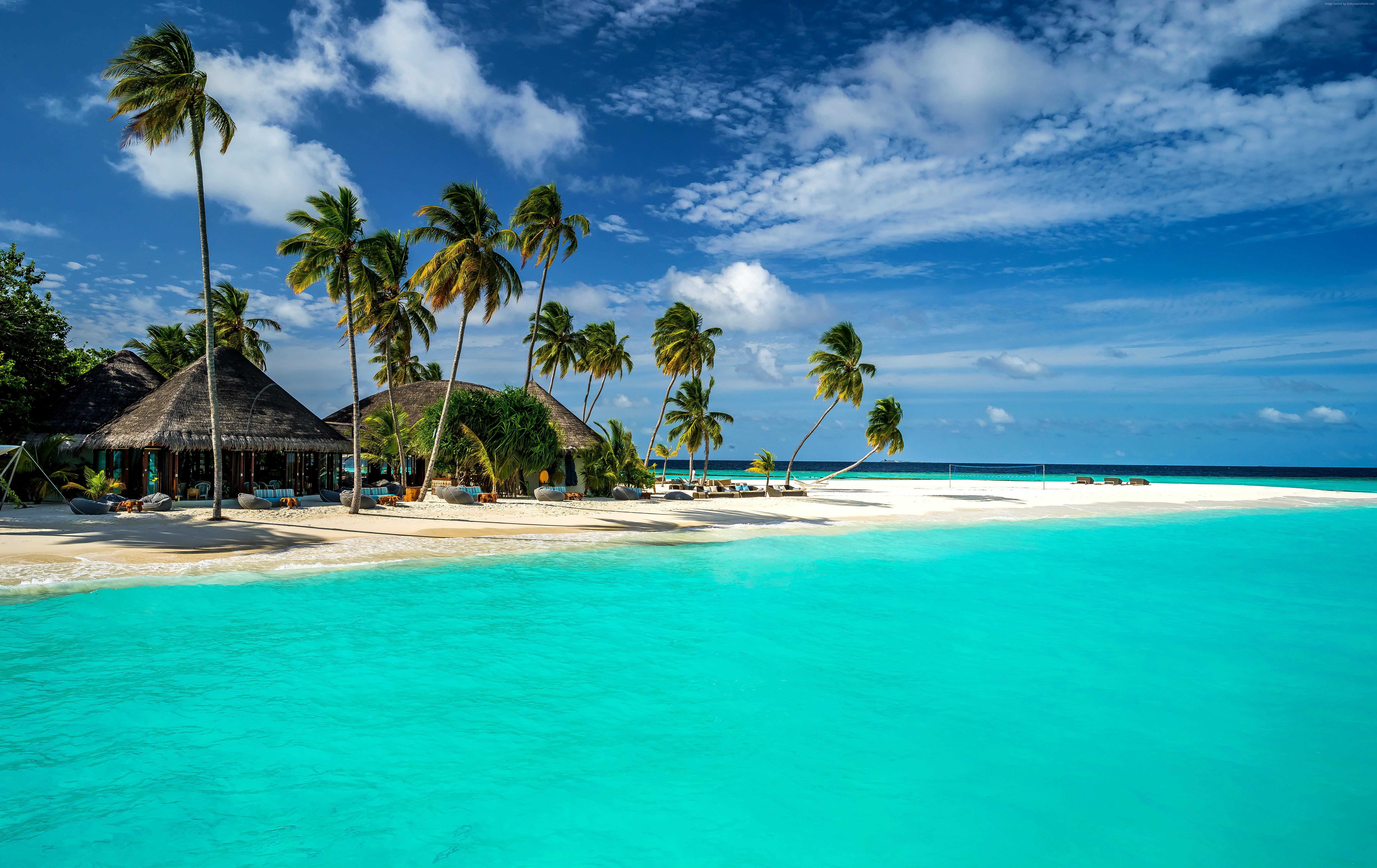 6345x4000 k wallpaper, #Maldives, #shore, #sky, #Indian Ocean, k, #Best Beaches in the World palms, k. Mocah HD Wallpaper