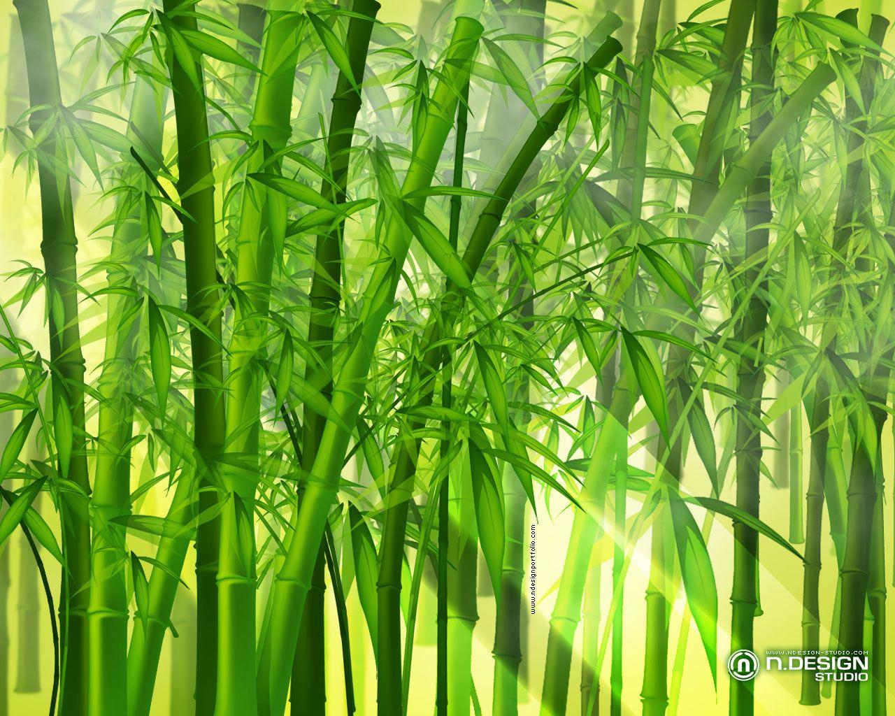 1280x1024 Drawn bamboo HD wallpaper and in color drawn bamboo HD