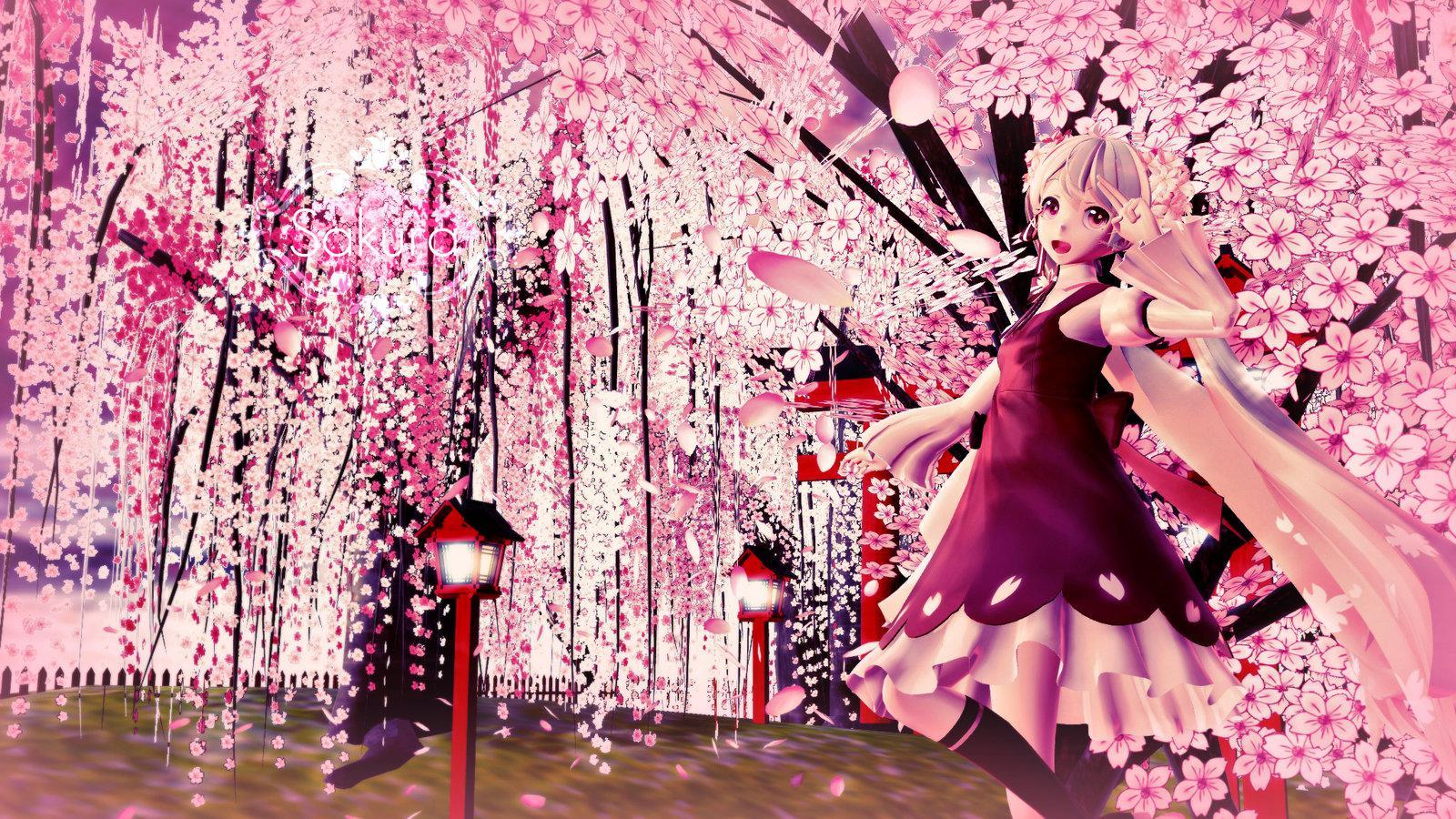 1600x900 Sakura in Japan. resolution pixels. for mobile background