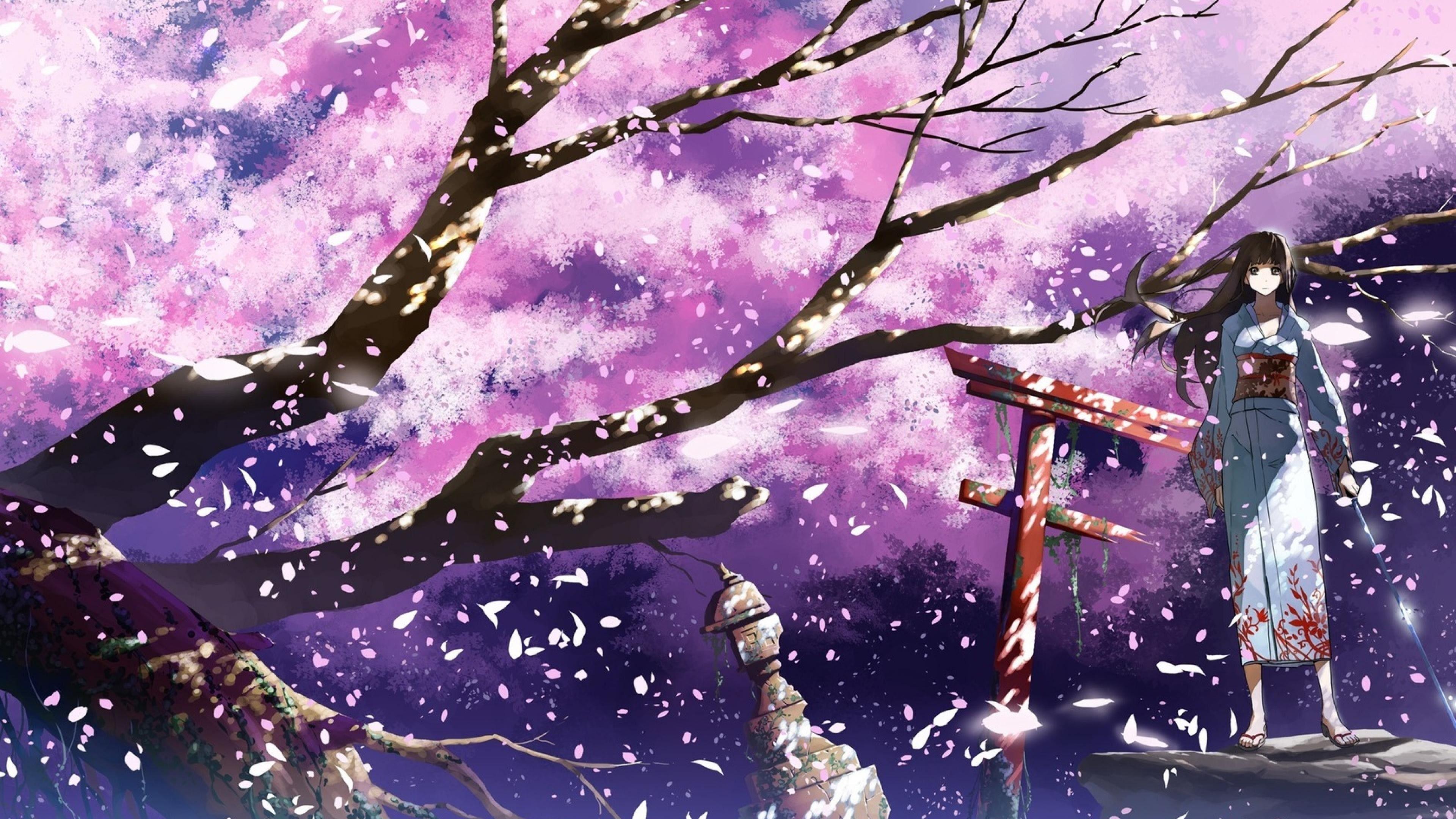 3840x2160 Anime Cherry Blossom 4k Wallpaper