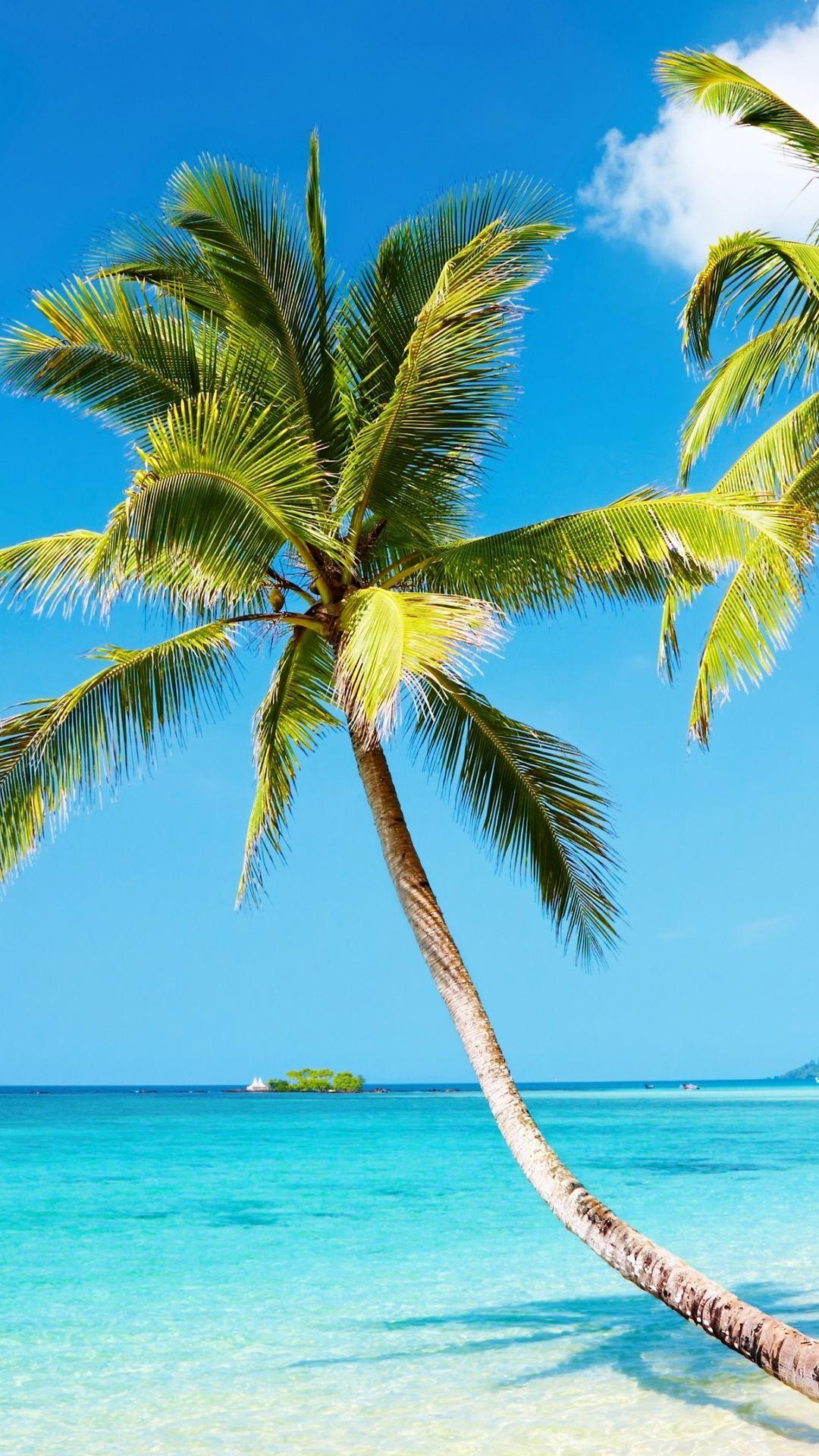 1080x1920 4k wallpaper beach nature beach iphone 6 plus 1080x1920 wallpaper. Beach wallpaper iphone, Beach wallpaper, iPhone wallpaper tropical