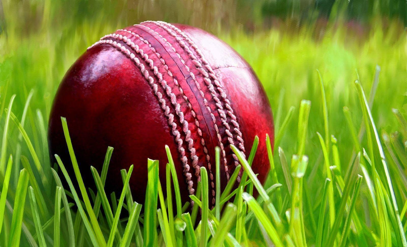 cricket bat and ball wallpaper