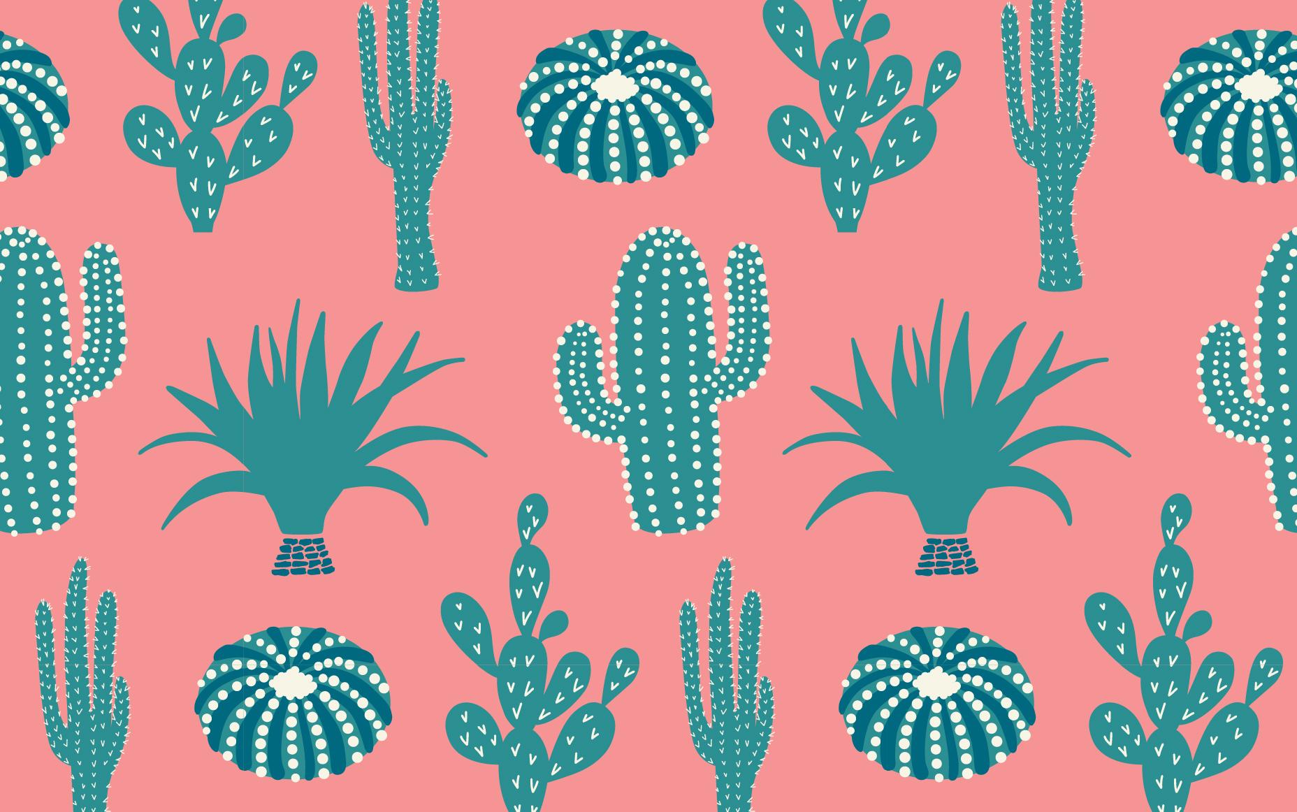 Pink Cactus Desktop Wallpapers - Top Free Pink Cactus Desktop