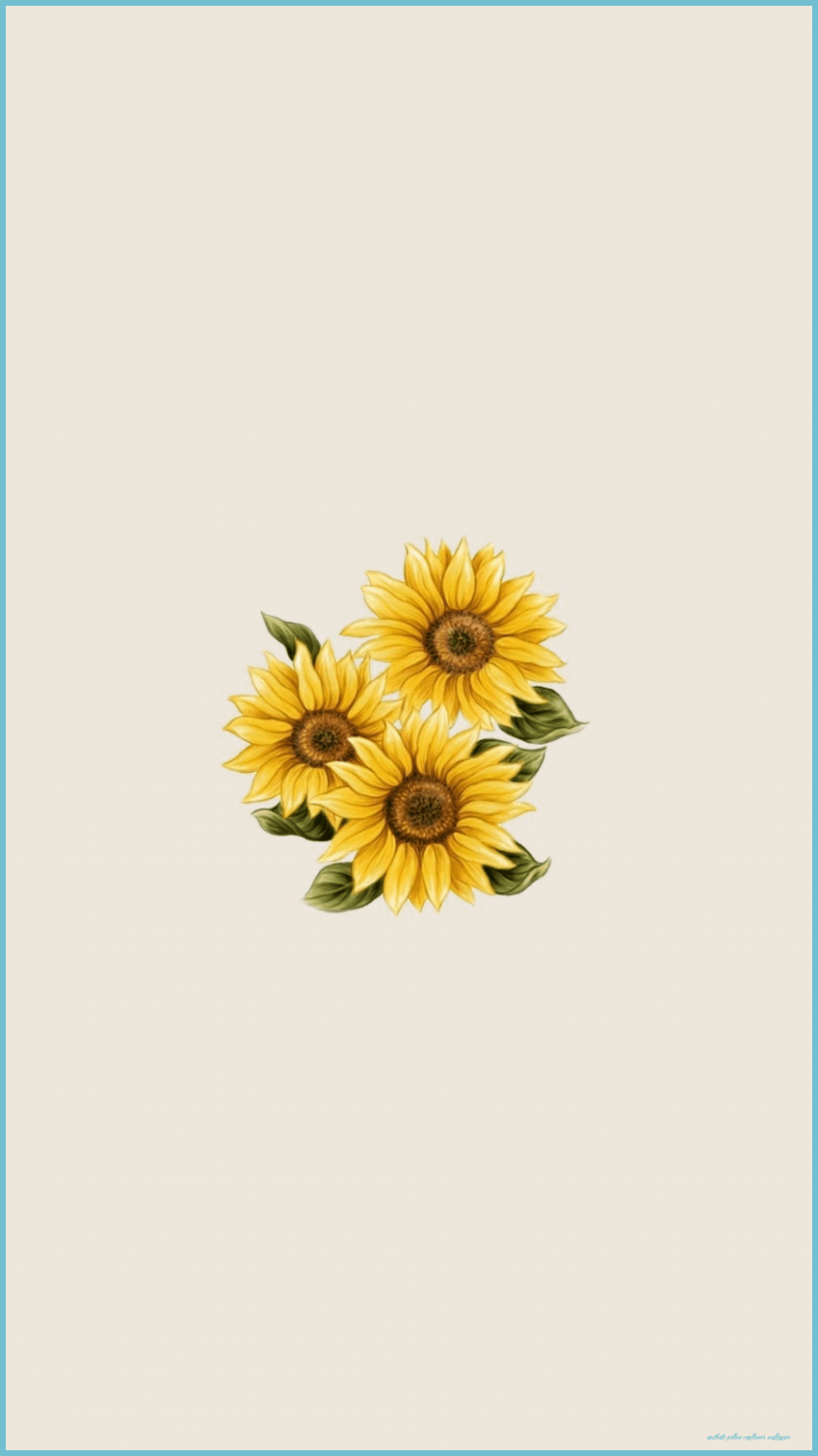 Yellow Sunflower Wallpapers - Top Free Yellow Sunflower Backgrounds ...