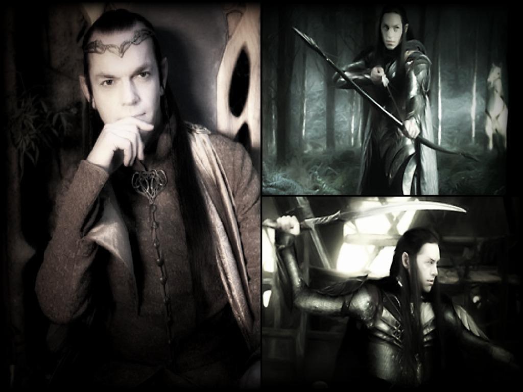 1024x768 Middle Earth And Beyond Wallpaper: Elrond And Sons