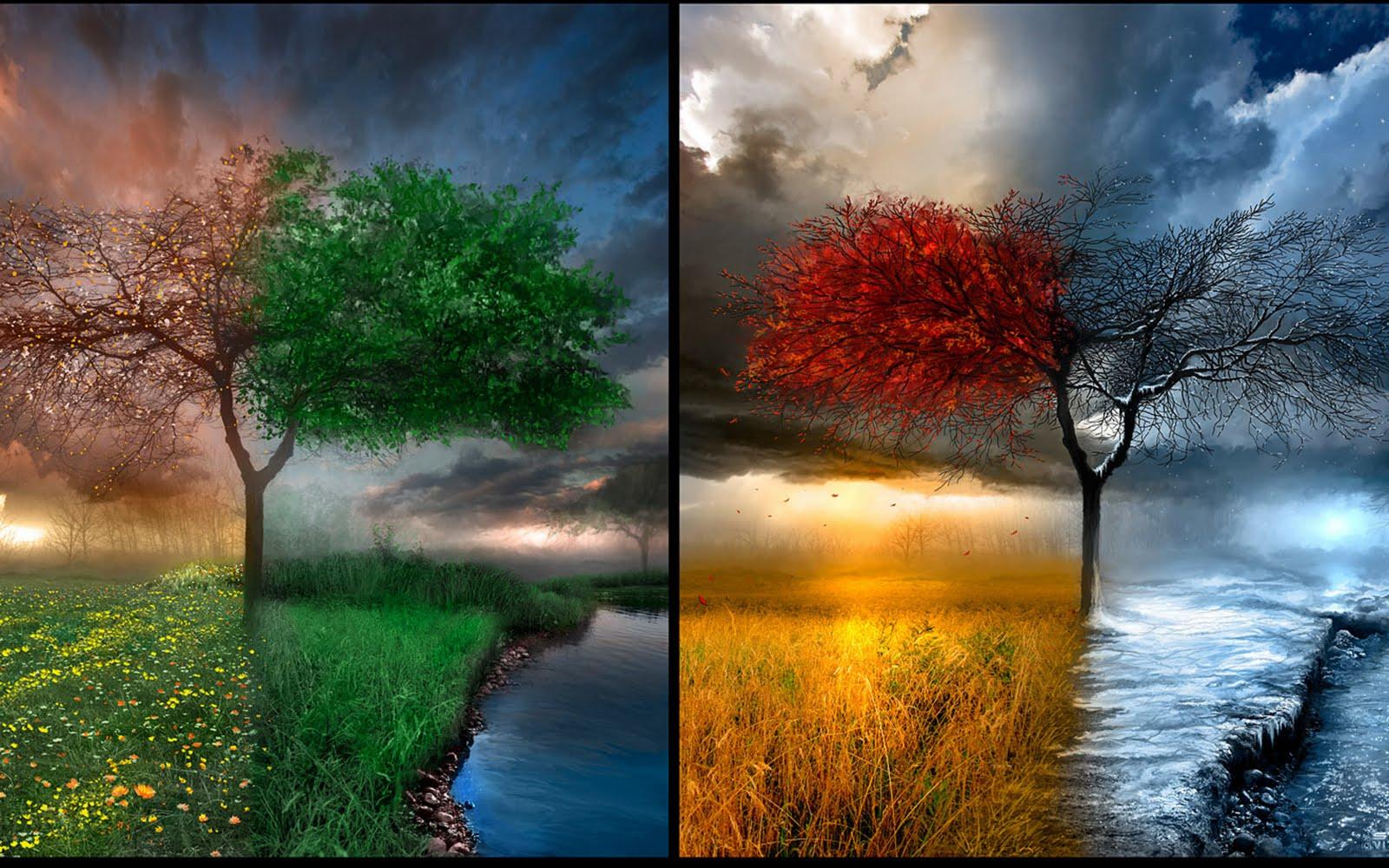 1600x1000 Free download Wallpaper Four Seasons wallpaper [1600x1000] for your Desktop, Mobile & Tablet. Explore Four Seasons Wallpaper. Season Wallpaper for My Desktop, Seasons Wallpaper for Desktop, Free Wallpaper Seasons
