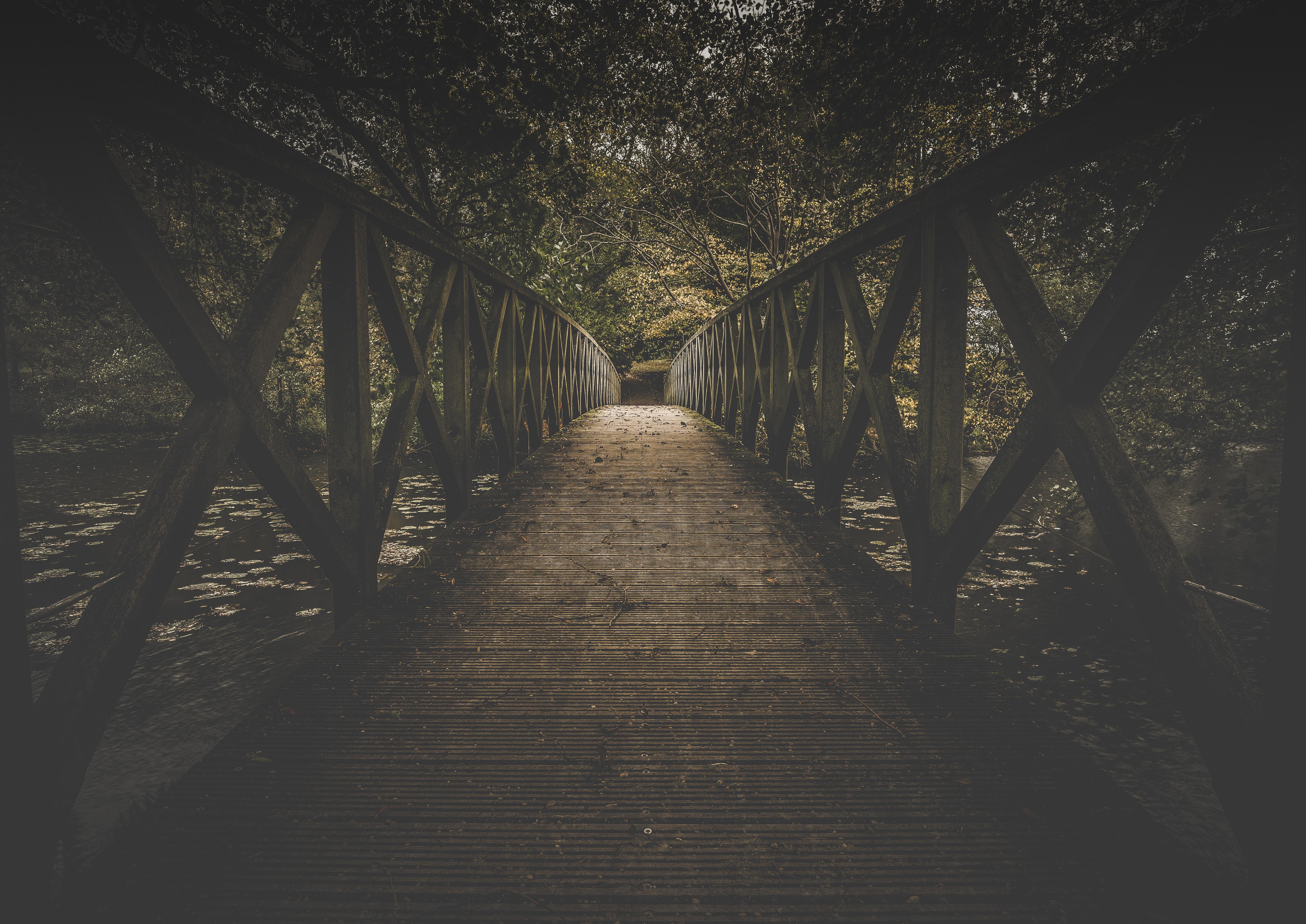 5581x3949 5581x3949 tree, woodland, Free , nature, wooden, autumn, romantic, river, wooden bridge, forest, dark, bridge