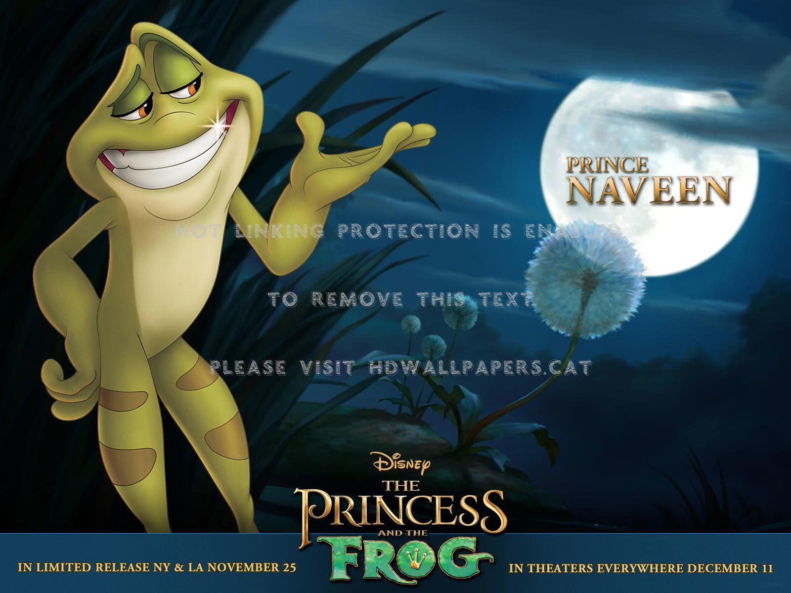 1600x1200 the princess and frog naveen disney anime
