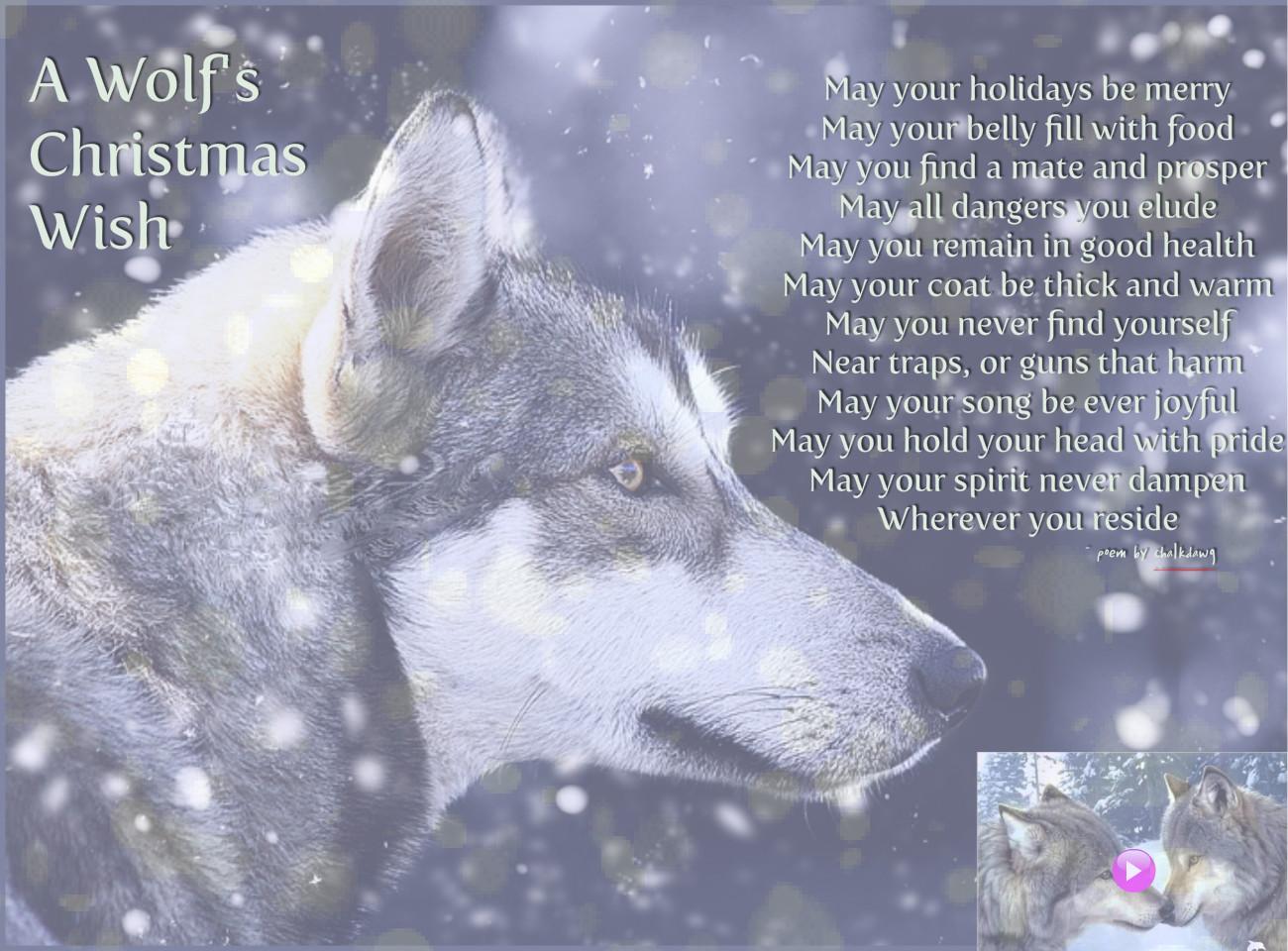 1300x960 Free download Wolfs Christmas Wish Publish with Glogster [1300x960] for your Desktop, Mobile & Tablet. Explore Wolf Christmas Wallpaper. Wolf Wallpaper, Wolf Image Free Wallpaper, Tribal Wolf Wallpaper