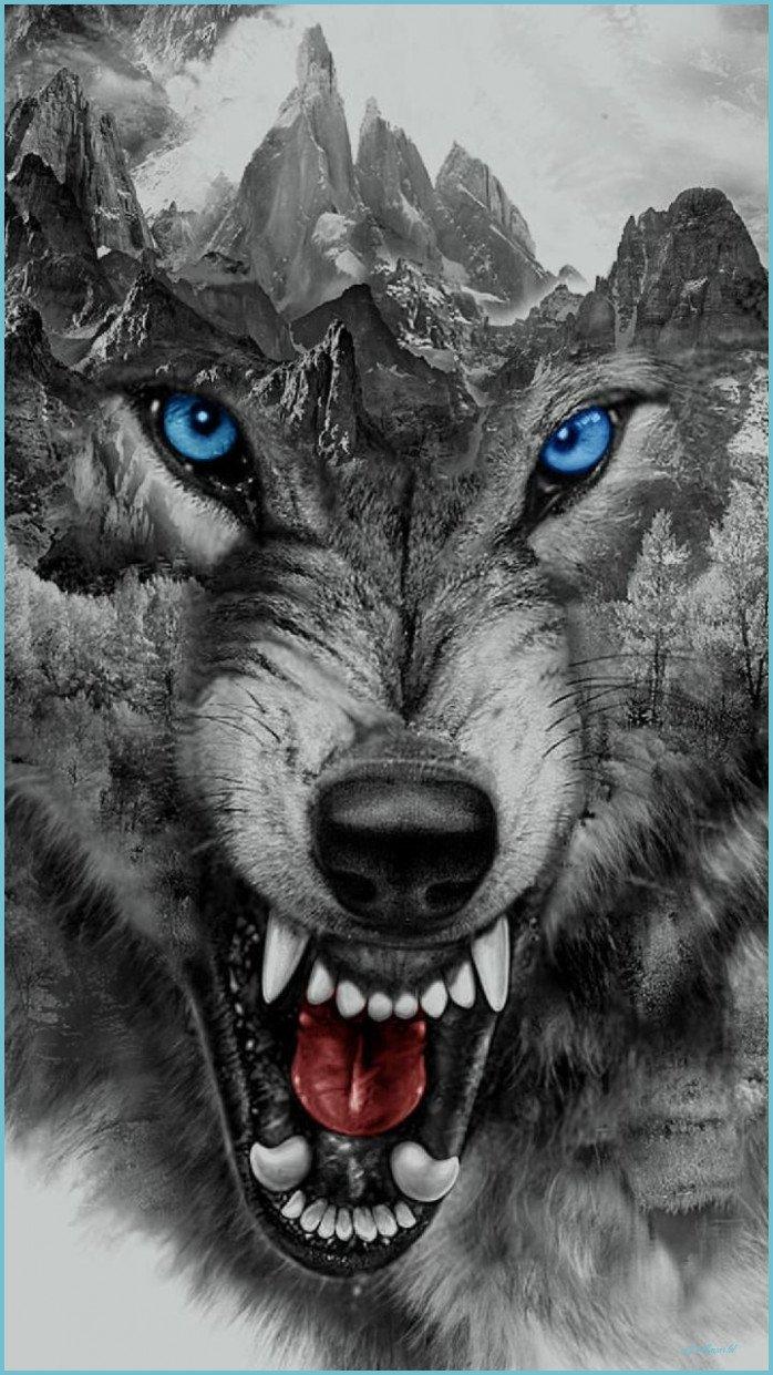 698x1241 12k Ultra HD Wolf Wallpaper 12k HD Wallpaper Wallpaper HD