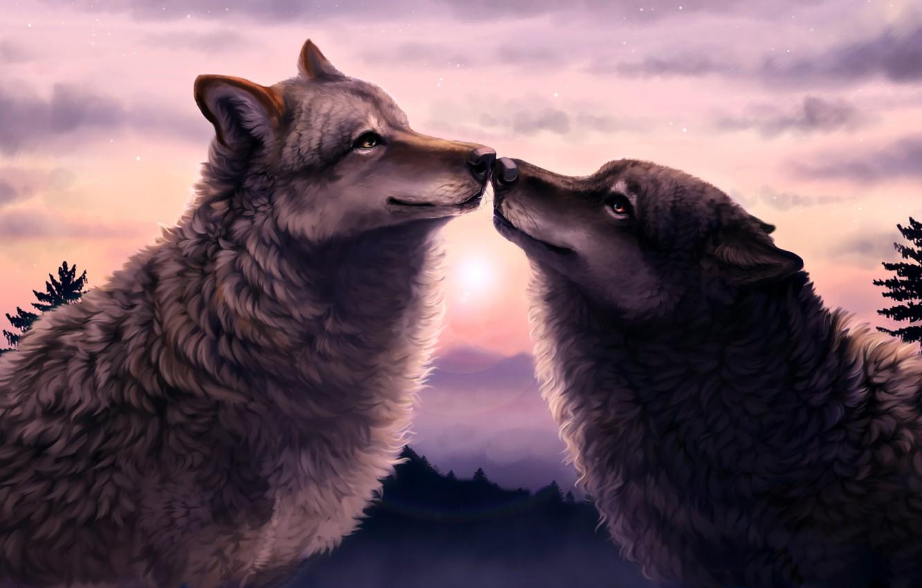 1332x850 Wallpaper forest, sunset, two, Wolves image for desktop, section живопись