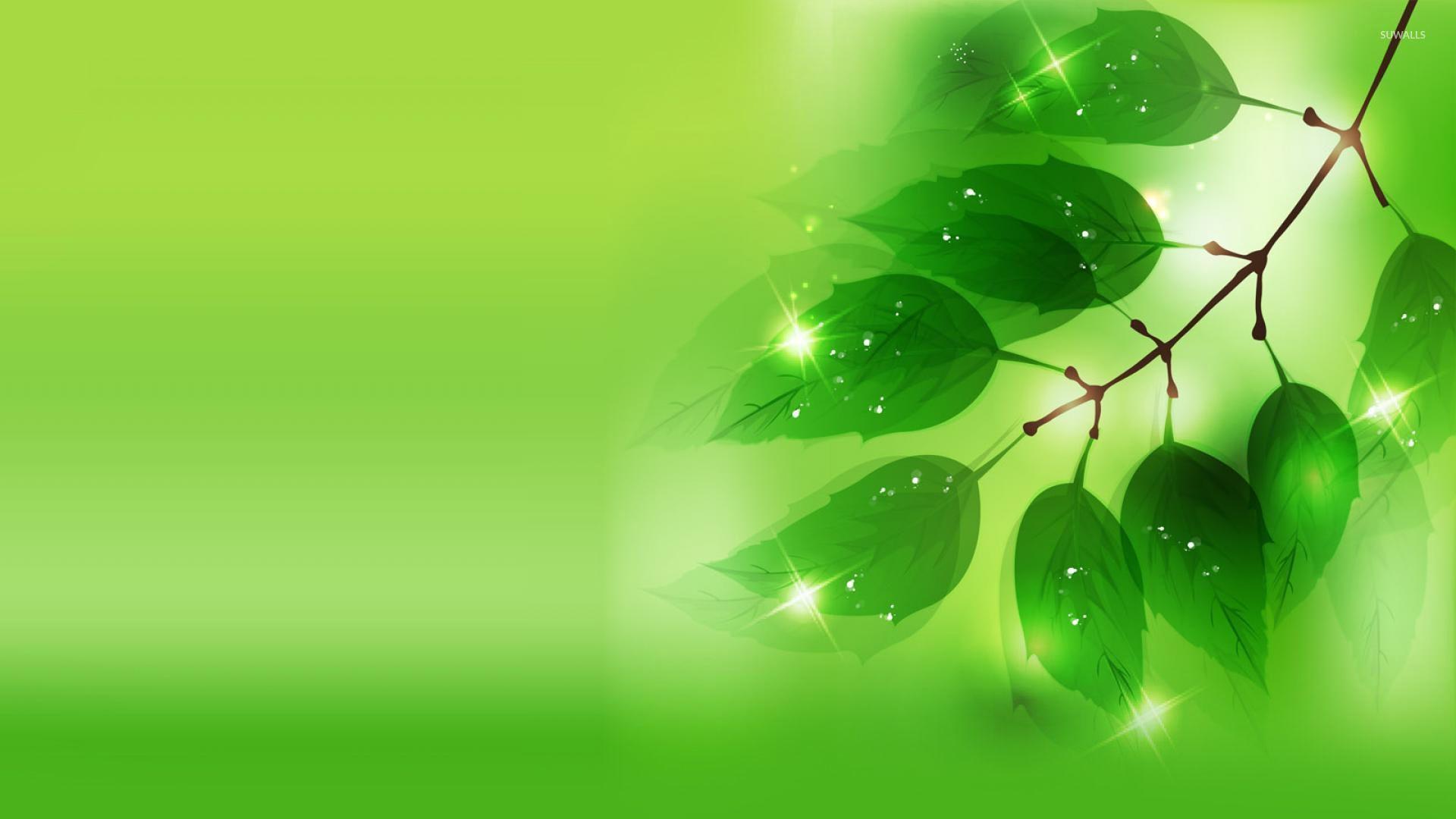1920x1080 Sparkling leaves on the branch wallpaper Art wallpaper