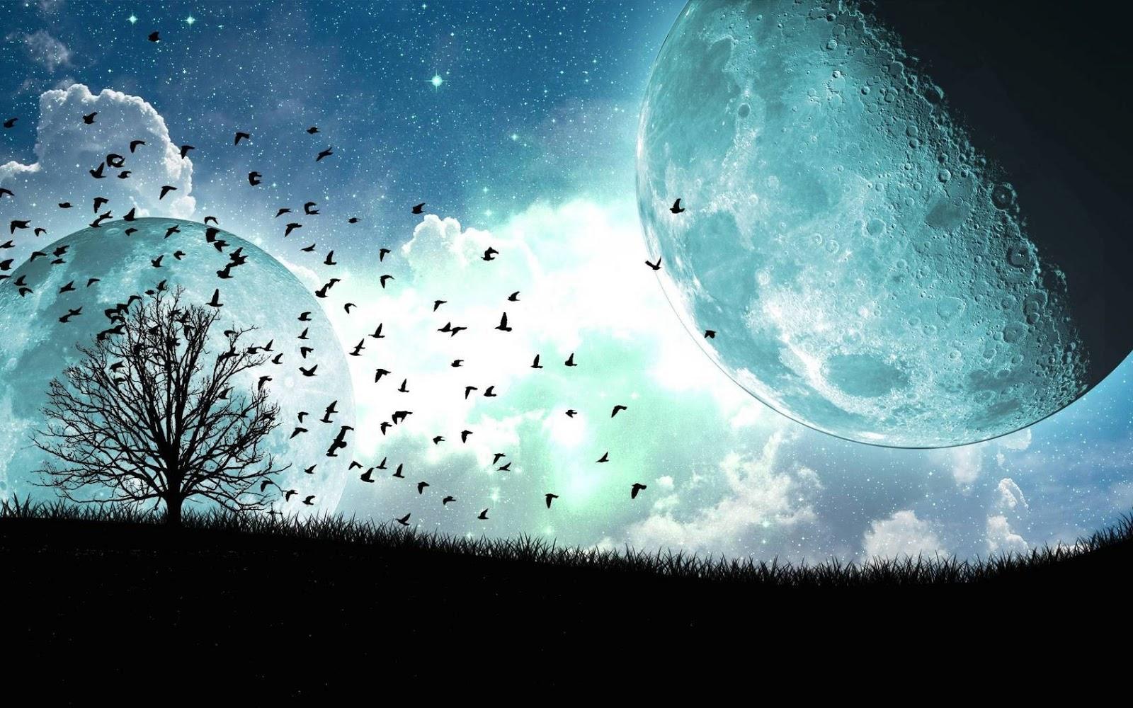 1600x1000 Copyright Free Wallpaper