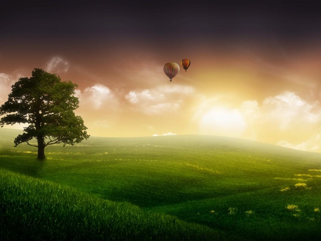 1024x768 Free Wallpaper Image