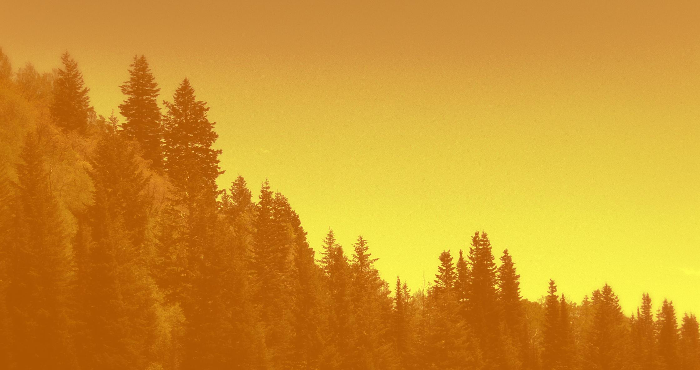 2240x1184 Royalty Free Wallpaper