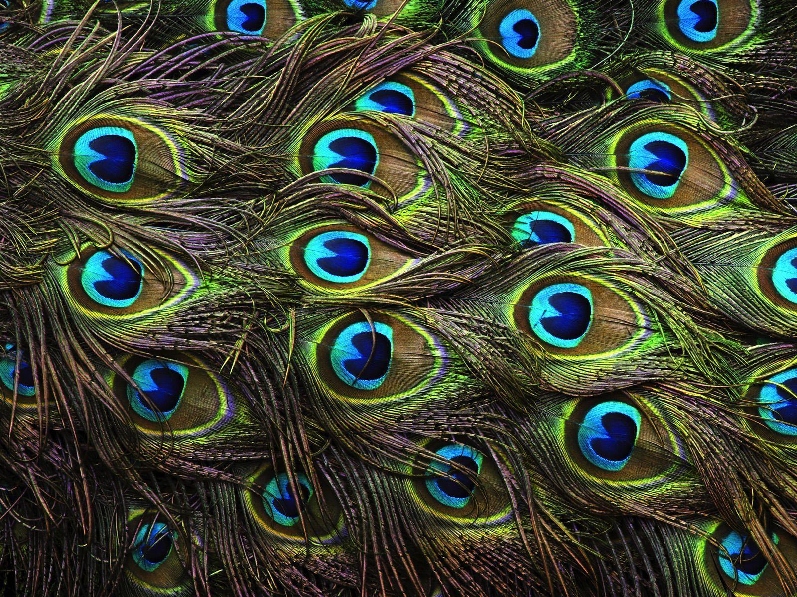 1600x1200 Ultra HD HD 4K Wallpaper
