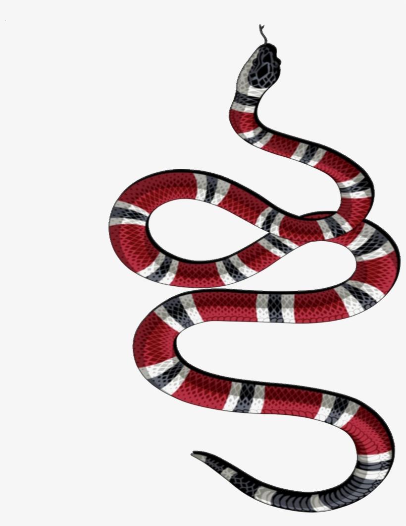 Louis Vuitton Wallpaper:: Tons of awesome Gucci snake wallpapers to  download for fre…
