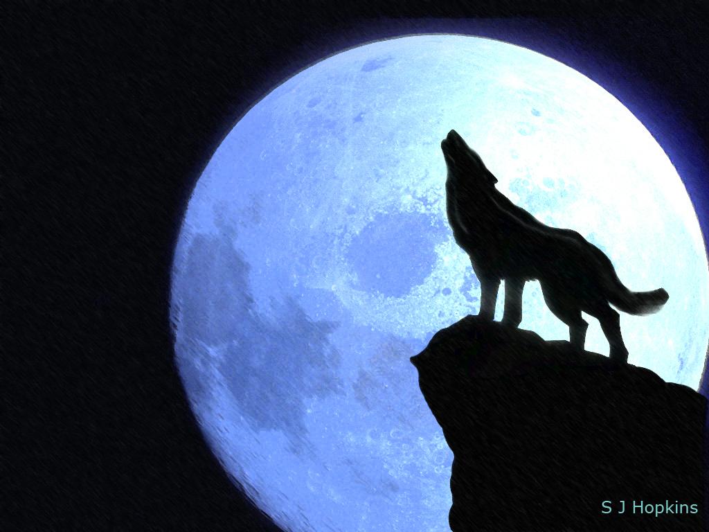 1024x768 Wolf Howling At The Moon Wallpaper