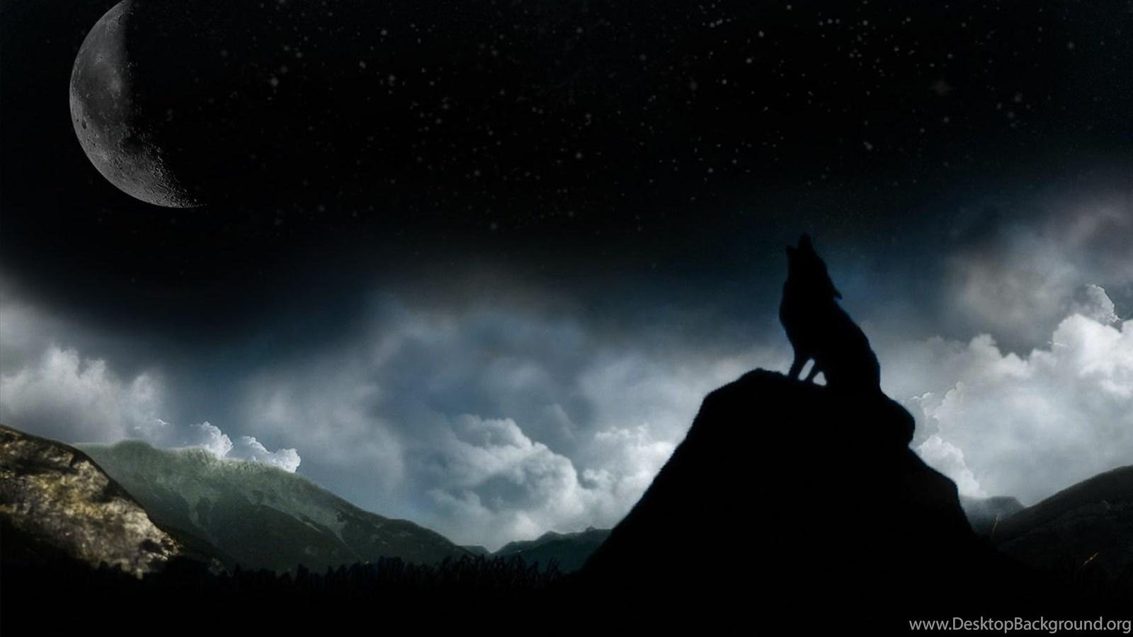 1600x900 Black Wolf Wallpaper HD Desktop Background