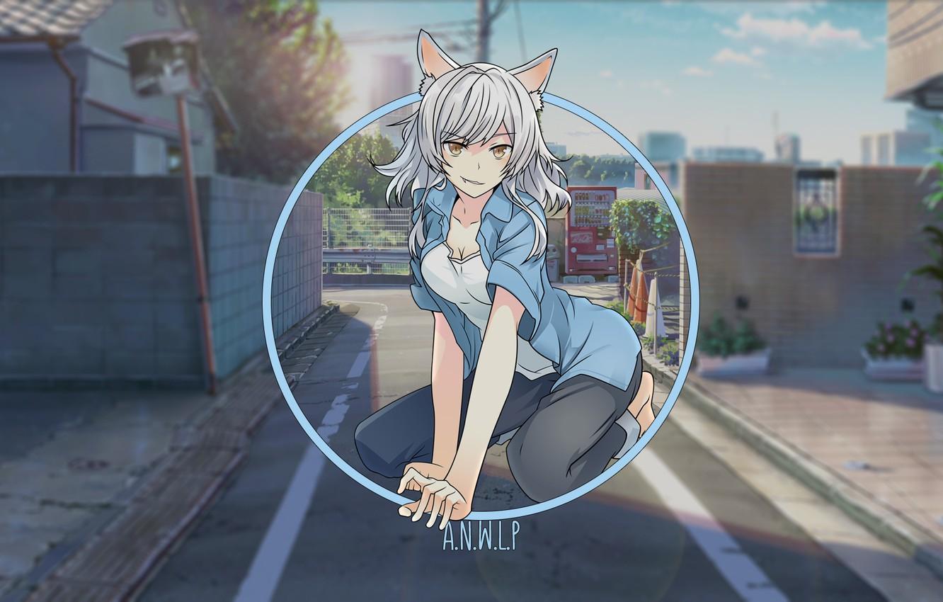 1332x850 Wallpaper cat, girl, street, anime, day, nothing, madskillz image for desktop, section прочее