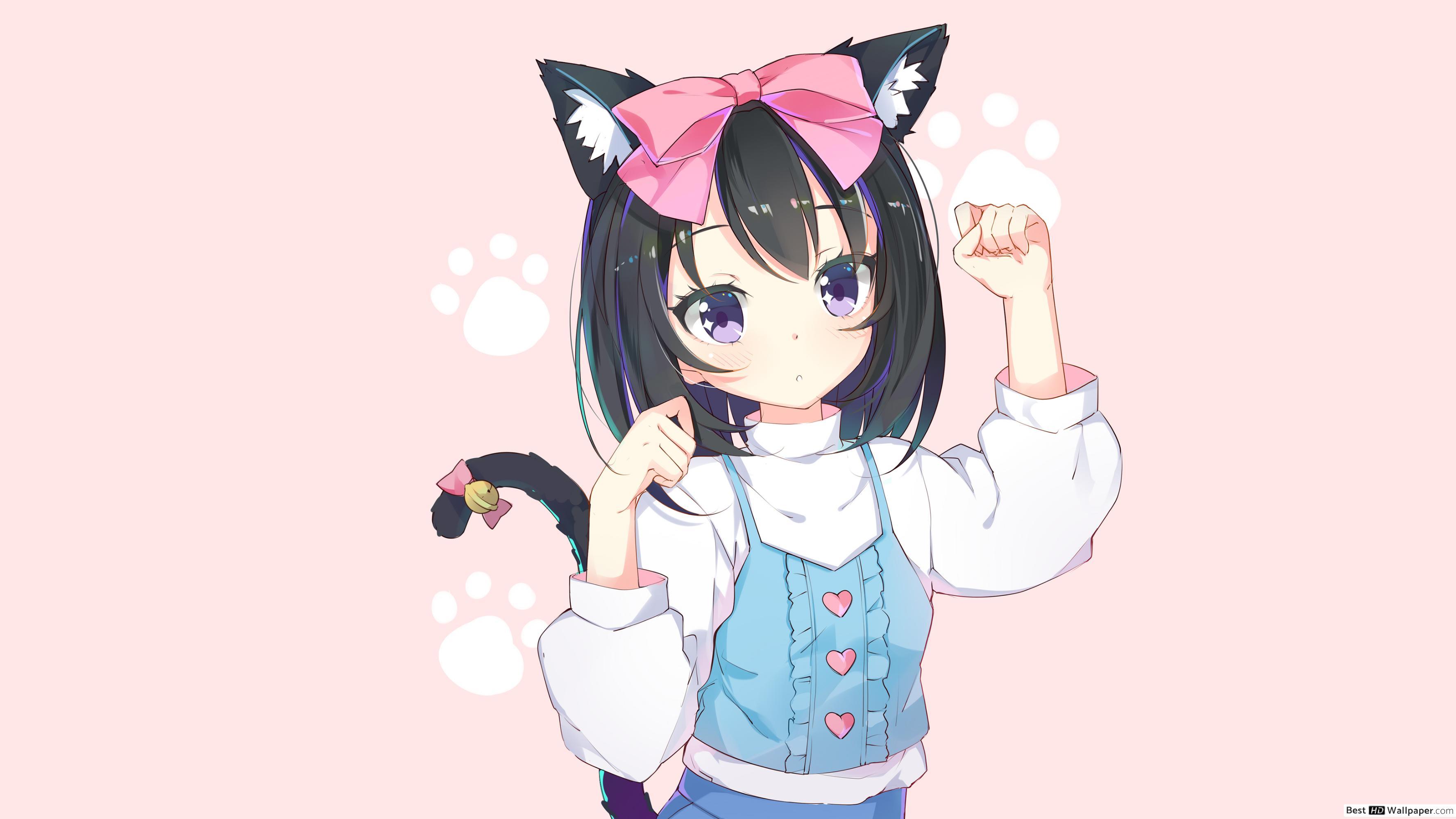 3554x1999 Adorable Cat Girl HD wallpaper download