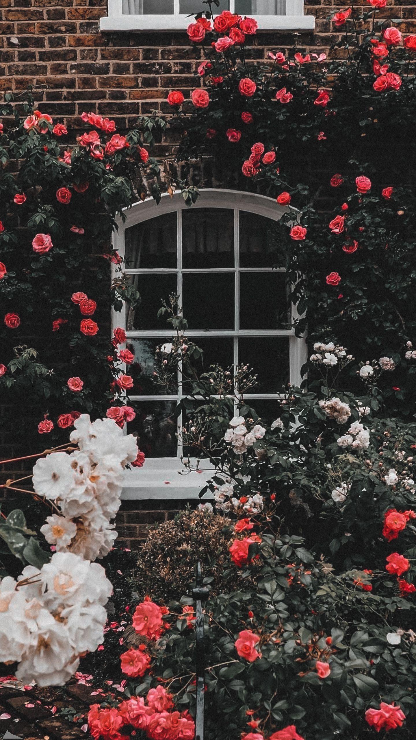 1440x2559 Flowers, Wallpaper, And Spring Image iPhone Wallpaper London HD Wallpaper