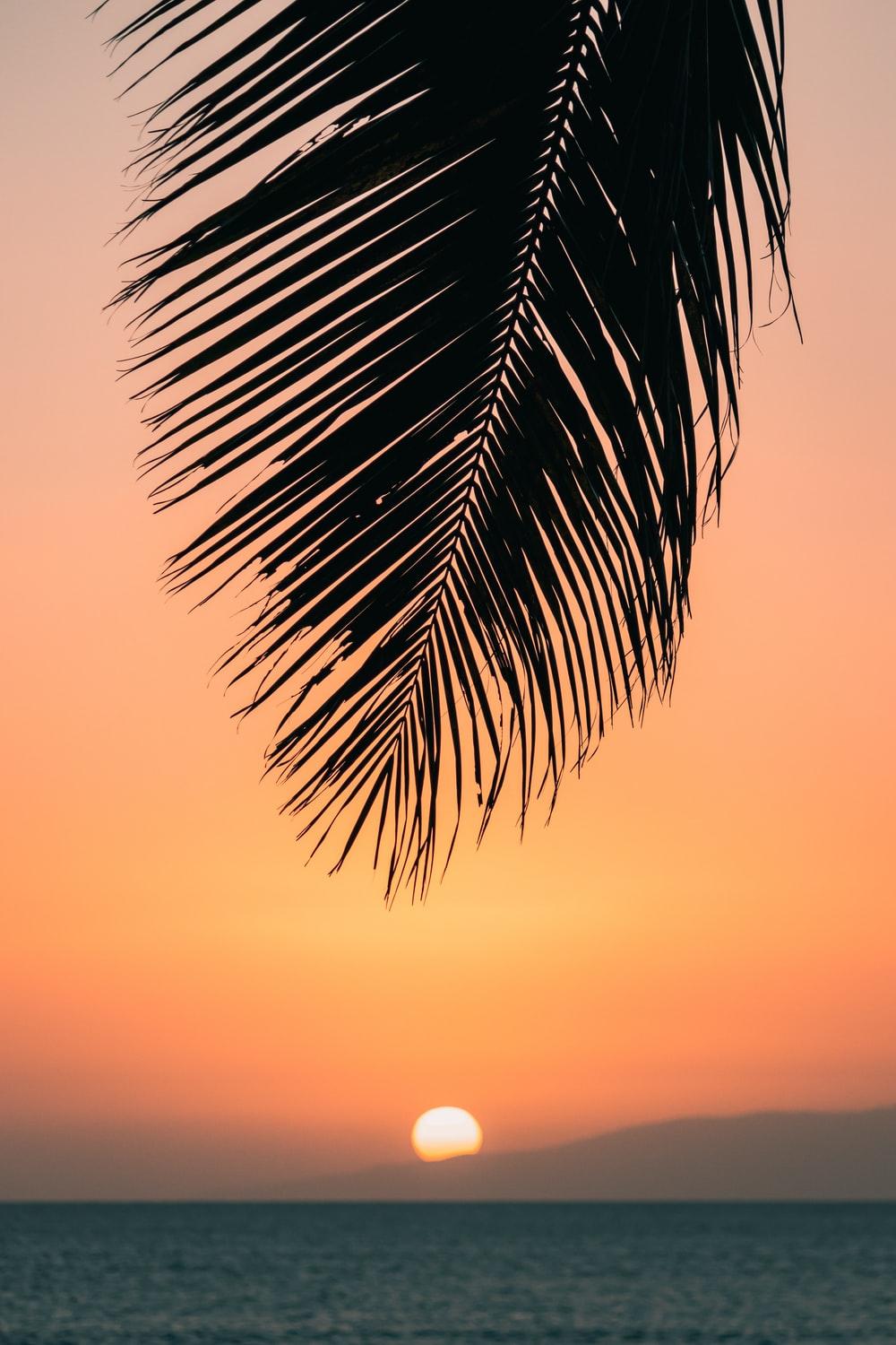 1000x1500 Hawaii Picture. Download Free Image