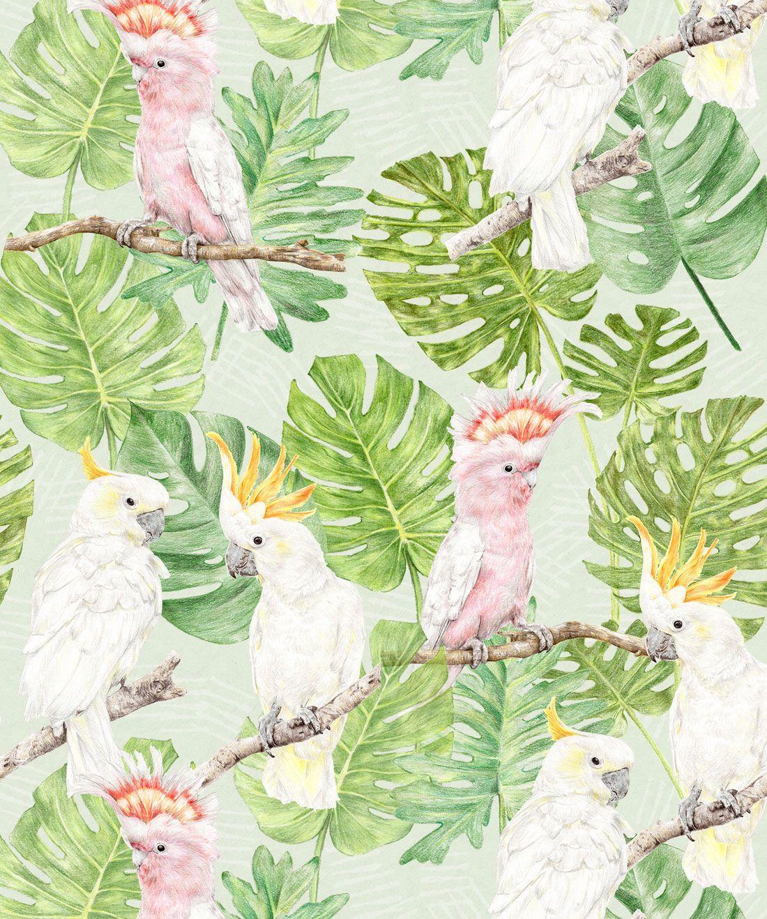 1100x1318 Tropical Bird Wallpaper • Bold, Bright & Very Tropical
