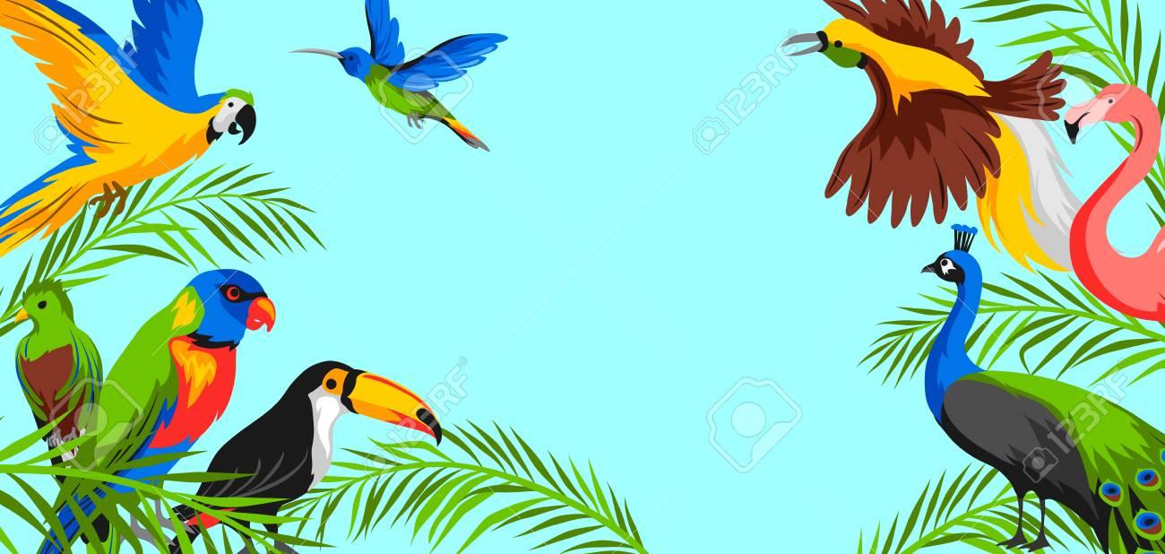 1300x618 Free download Background With Tropical Exotic Birds Wild Fauna Of Jungle And [1300x618] for your Desktop, Mobile & Tablet. Explore Bird Background. Bird Wallpaper, Wallpaper Bird, Bird Wallpaper