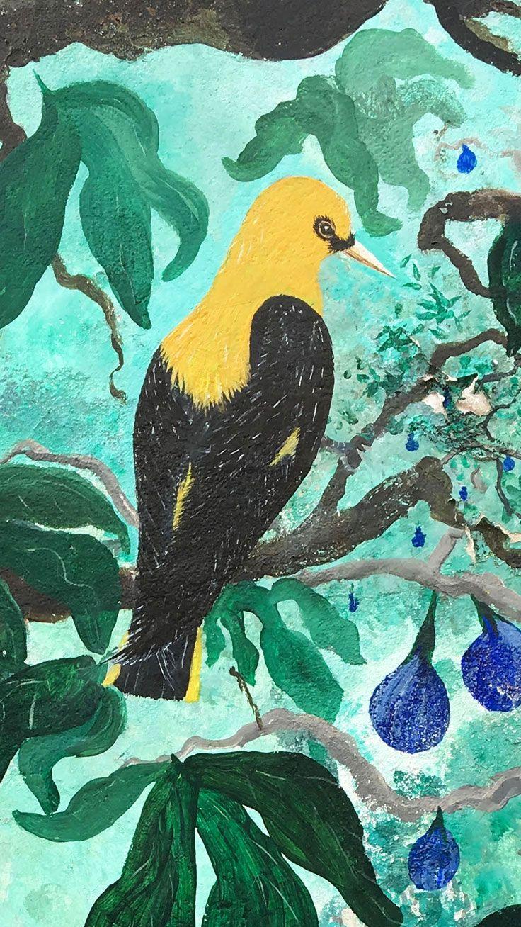 736x1308 Freebie: Tropical Bird iPhone & iPad wallpaper. Animal wallpaper, Original iphone wallpaper, iPhone wallpaper