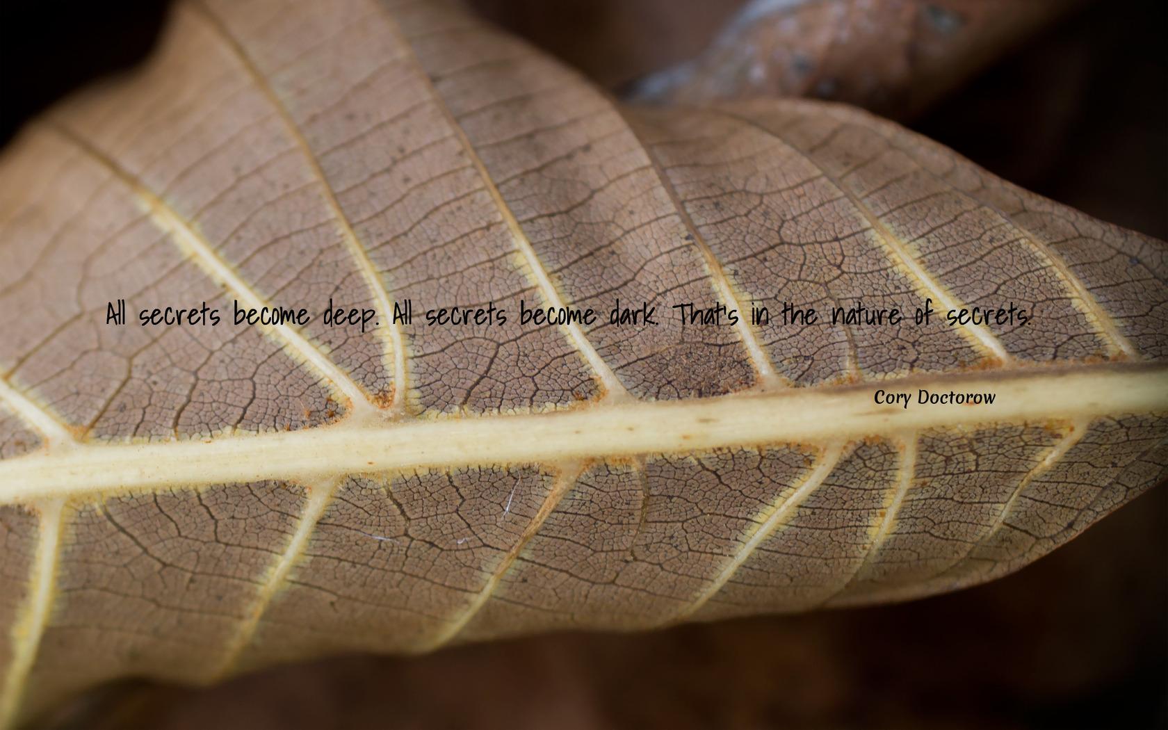 1680x1050 Hard Life Quotes Wallpaper. QuotesGram