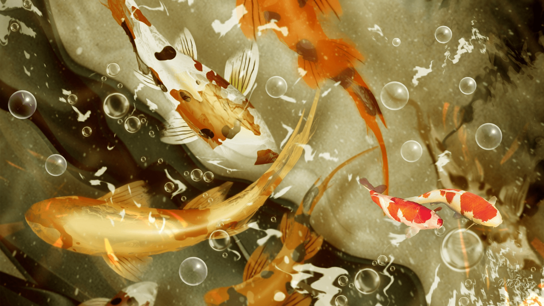 1820x1024 Free download Download Koi fish 3D Ultra HD for android Koi fish 3D Ultra HD 10 [1820x1024] for your Desktop, Mobile & Tablet. Explore Koi Pond Live Wallpaper