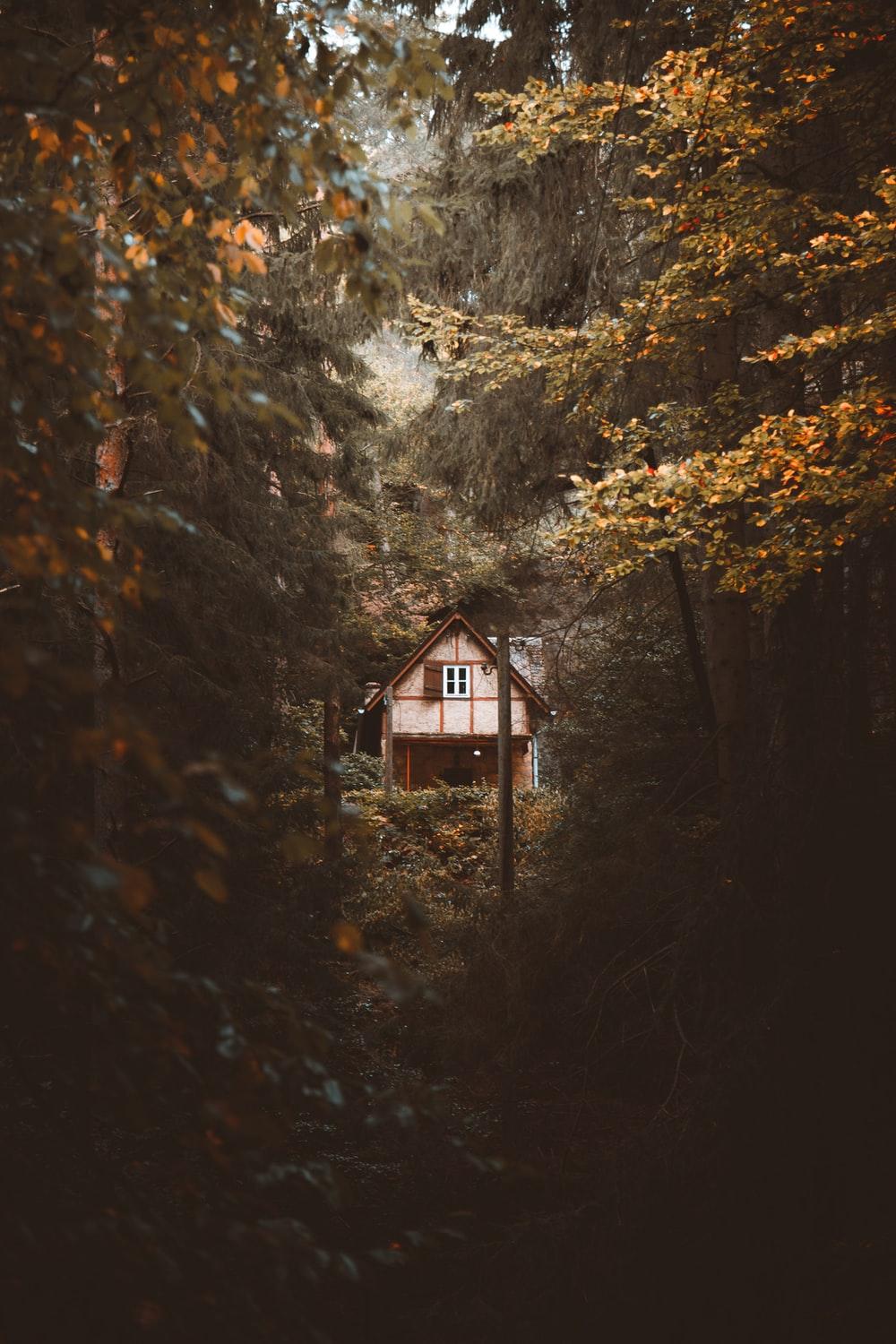 1000x1500 Cabin In Woods Picture. Download Free Image