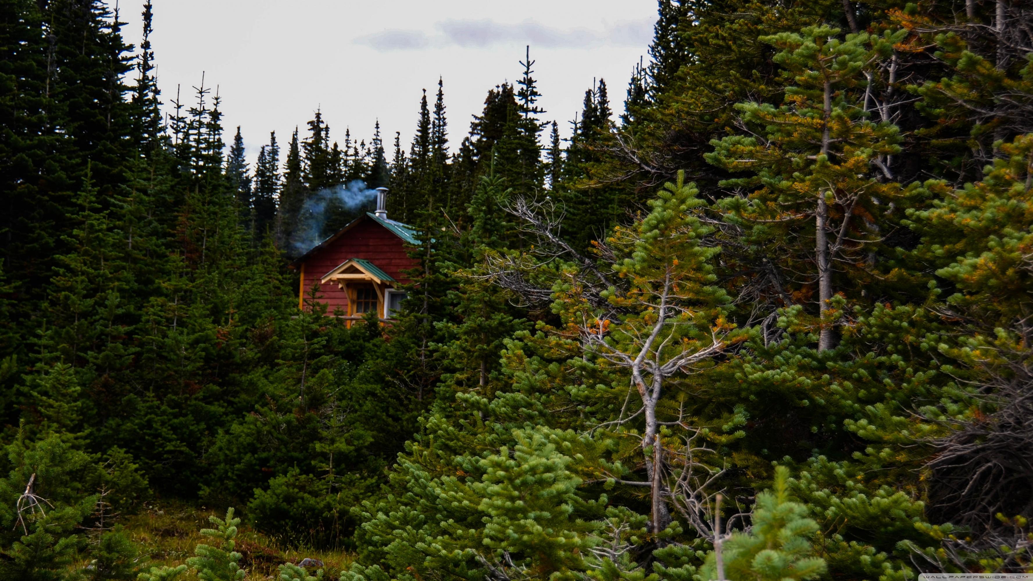 3554x1999 acı verici nefes Mathis cabin in the woods fullhd