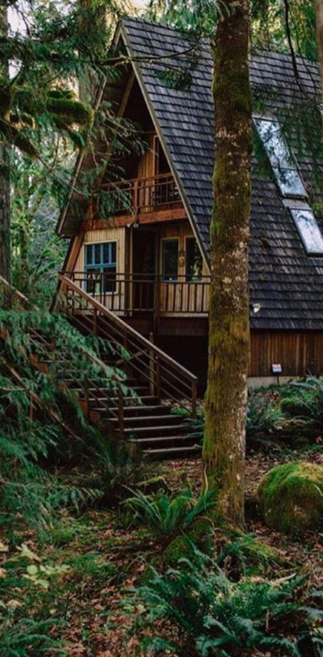 630x1280 Cabin in the woods wallpaper
