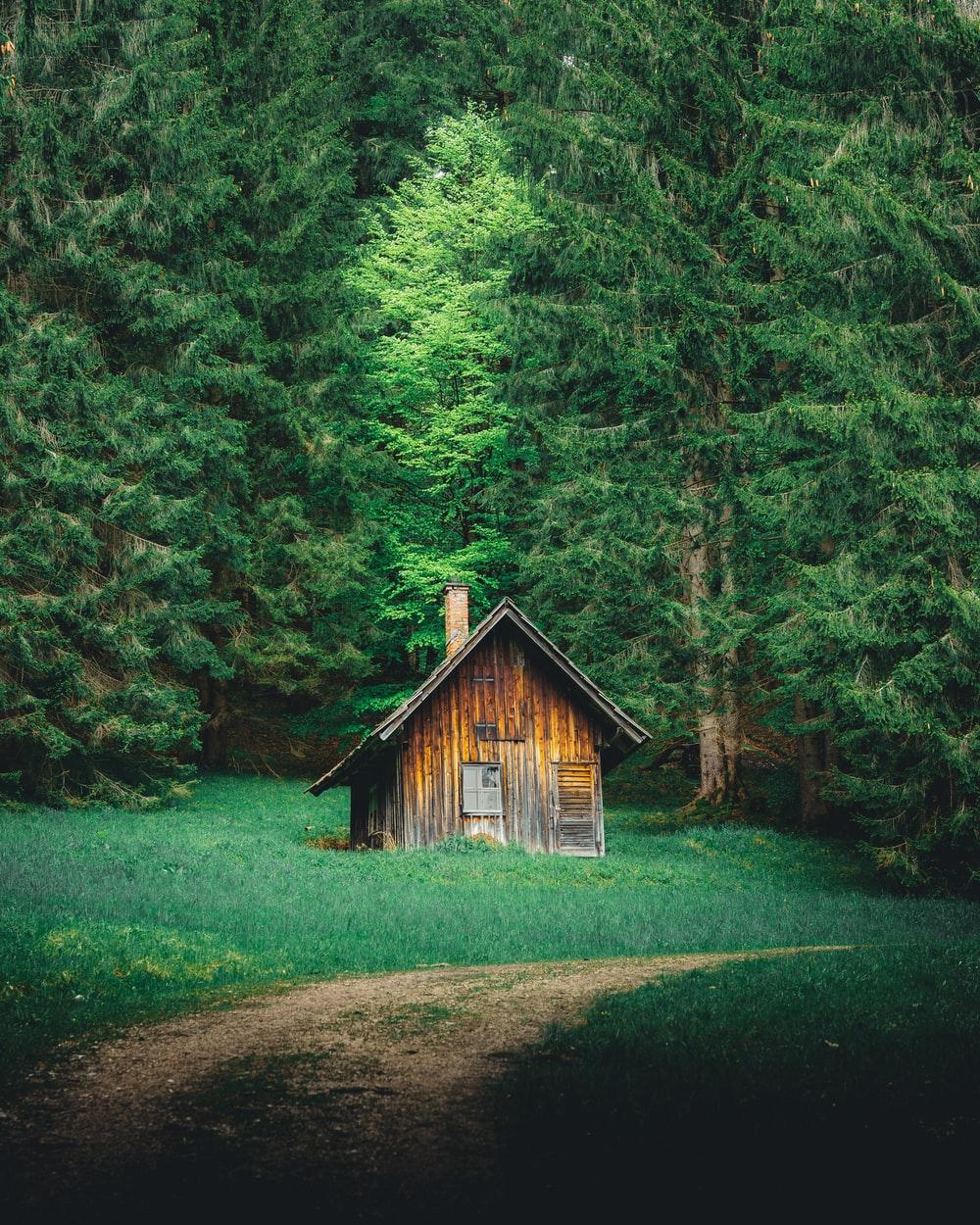 1000x1250 Cabin In Woods Picture. Download Free Image
