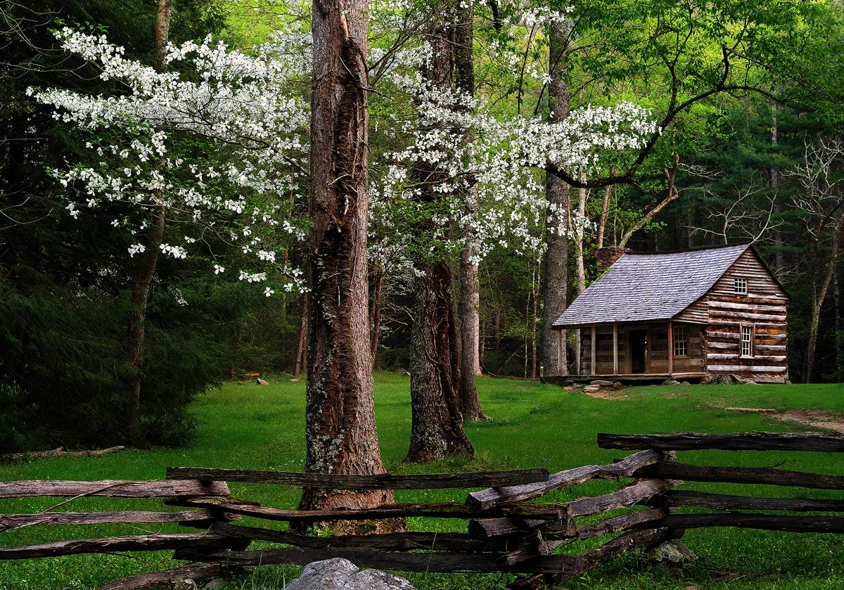 1200x839 Cabin In Woods Spring